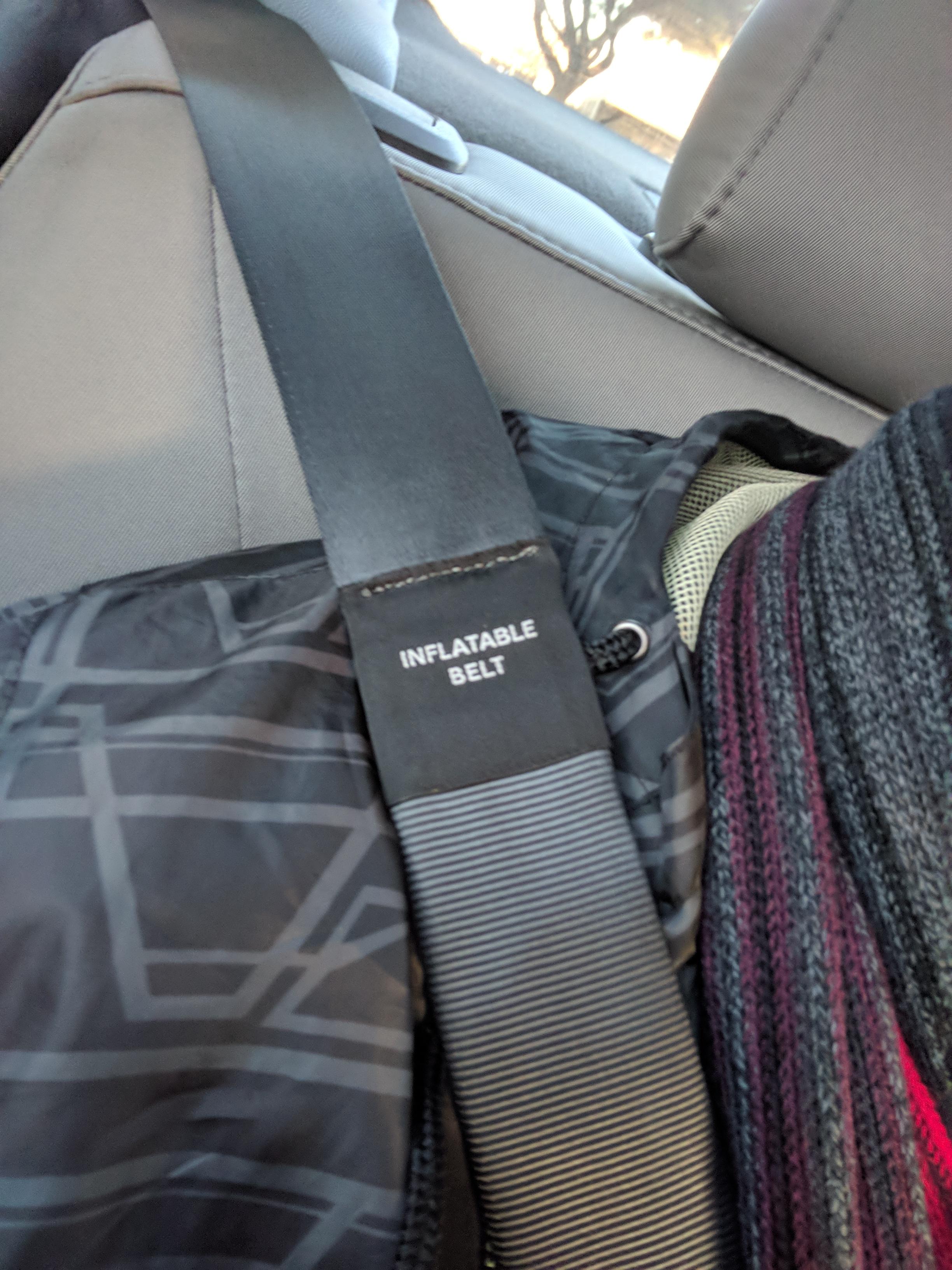 My lyft had inflatable seat belts in the back seat r/mildlyinteresting