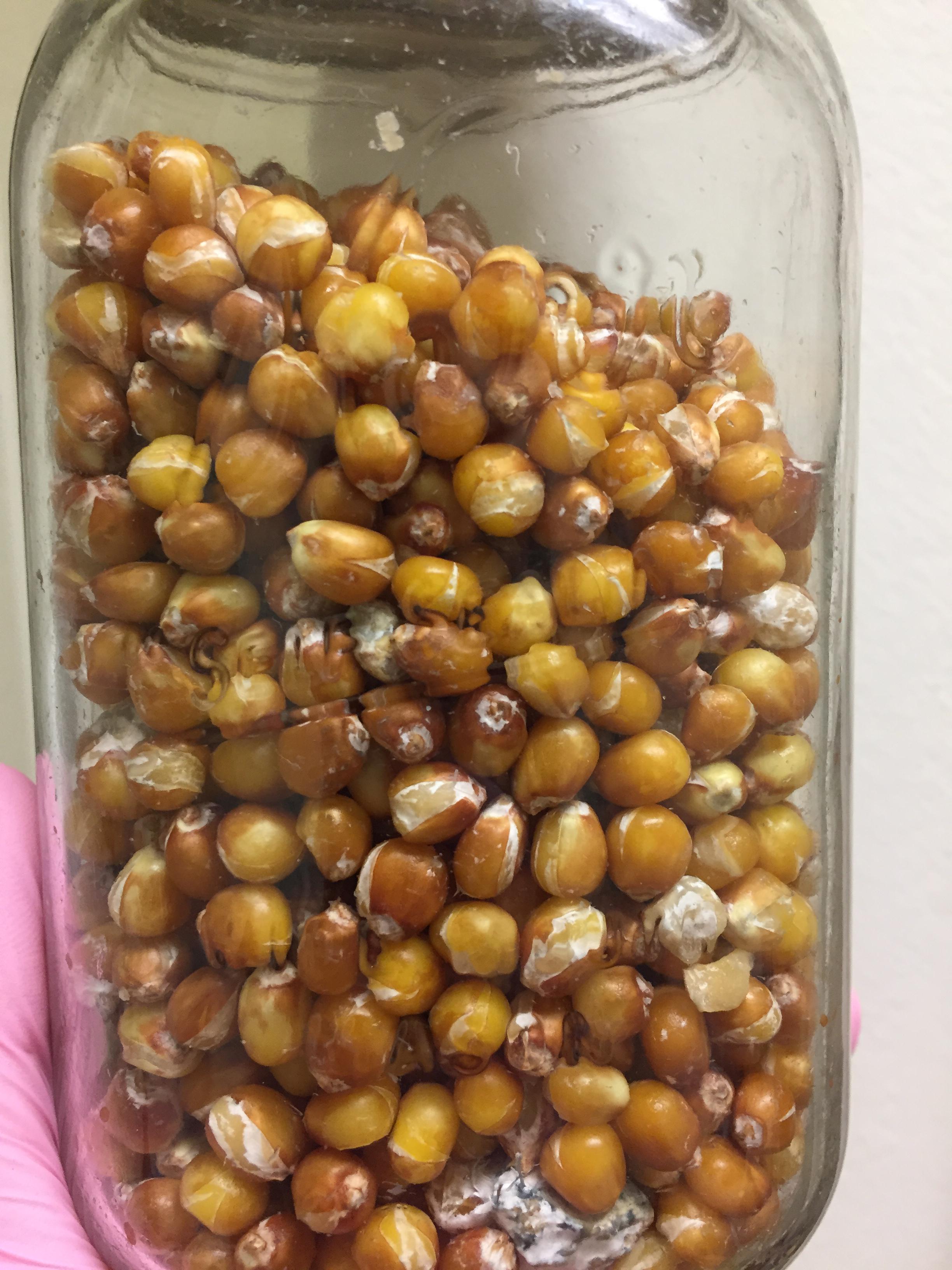 Restricting Nuts Popcorn And Corn In Diverticular