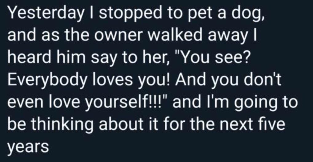 Dogs are the best r/SipsTea