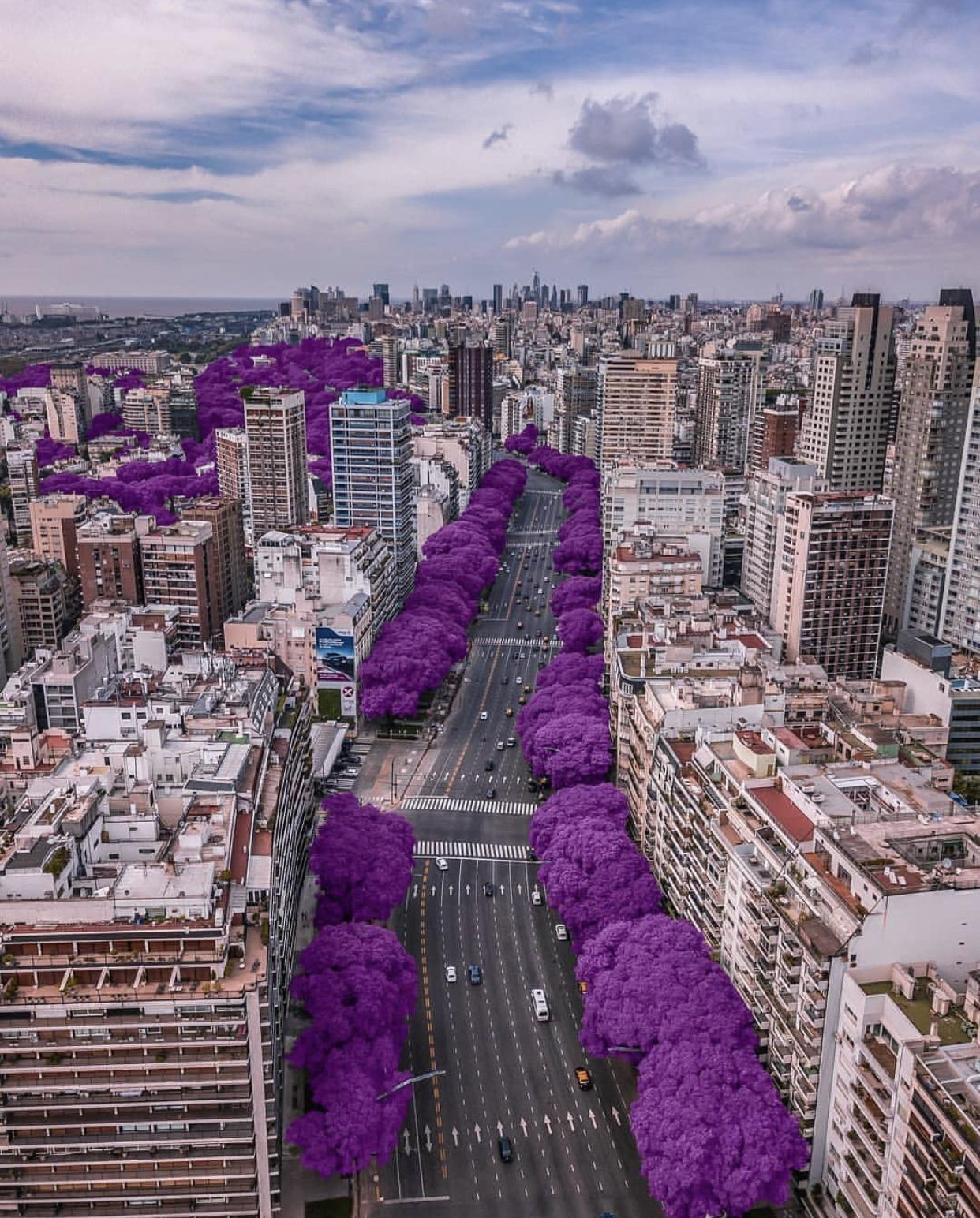 Buenos Aires, Argentina r/CityPorn