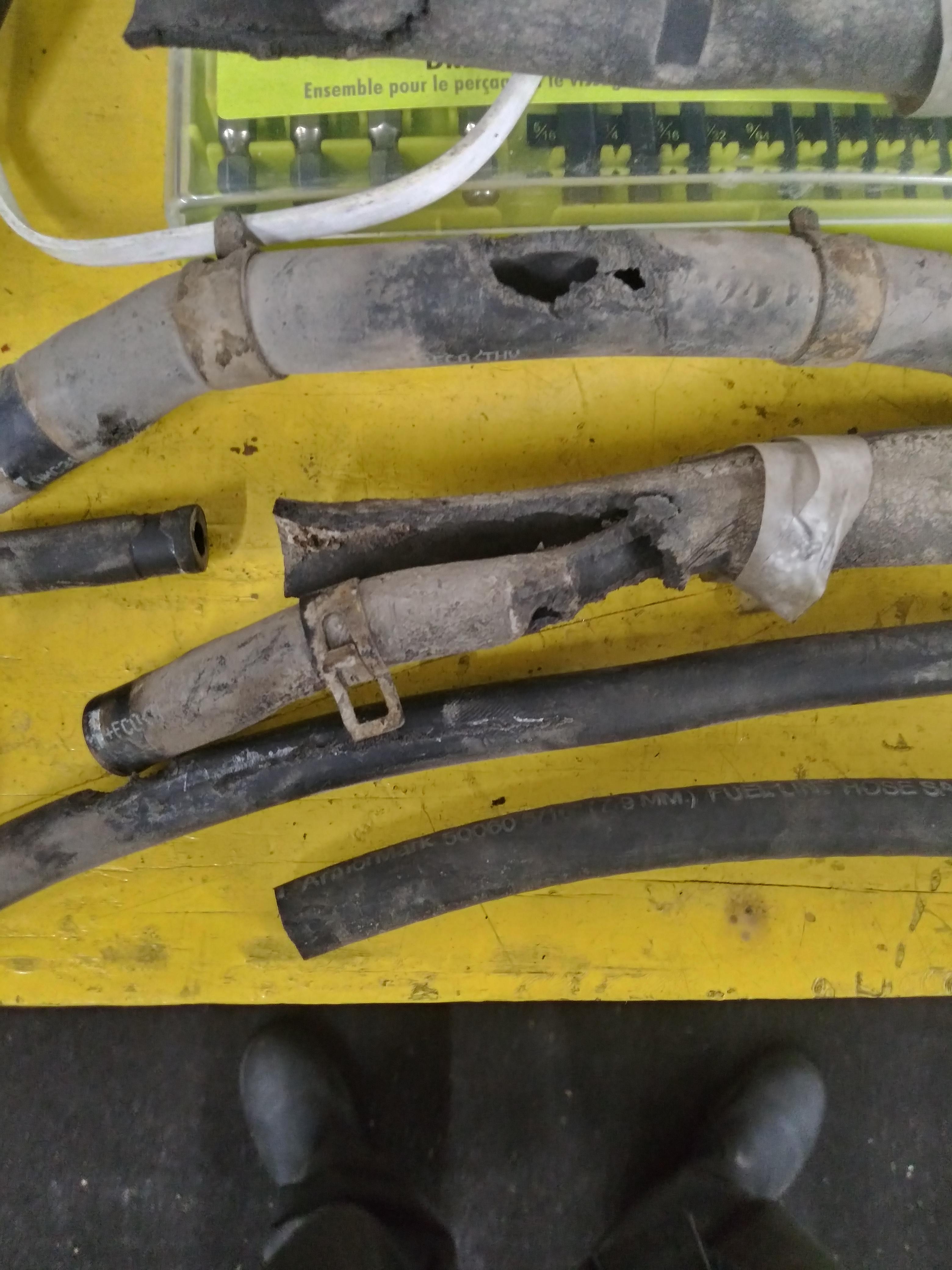 2005 Hyundai Elantra GT. Ran EVAP Service Bay Test. P0455. Check the 4