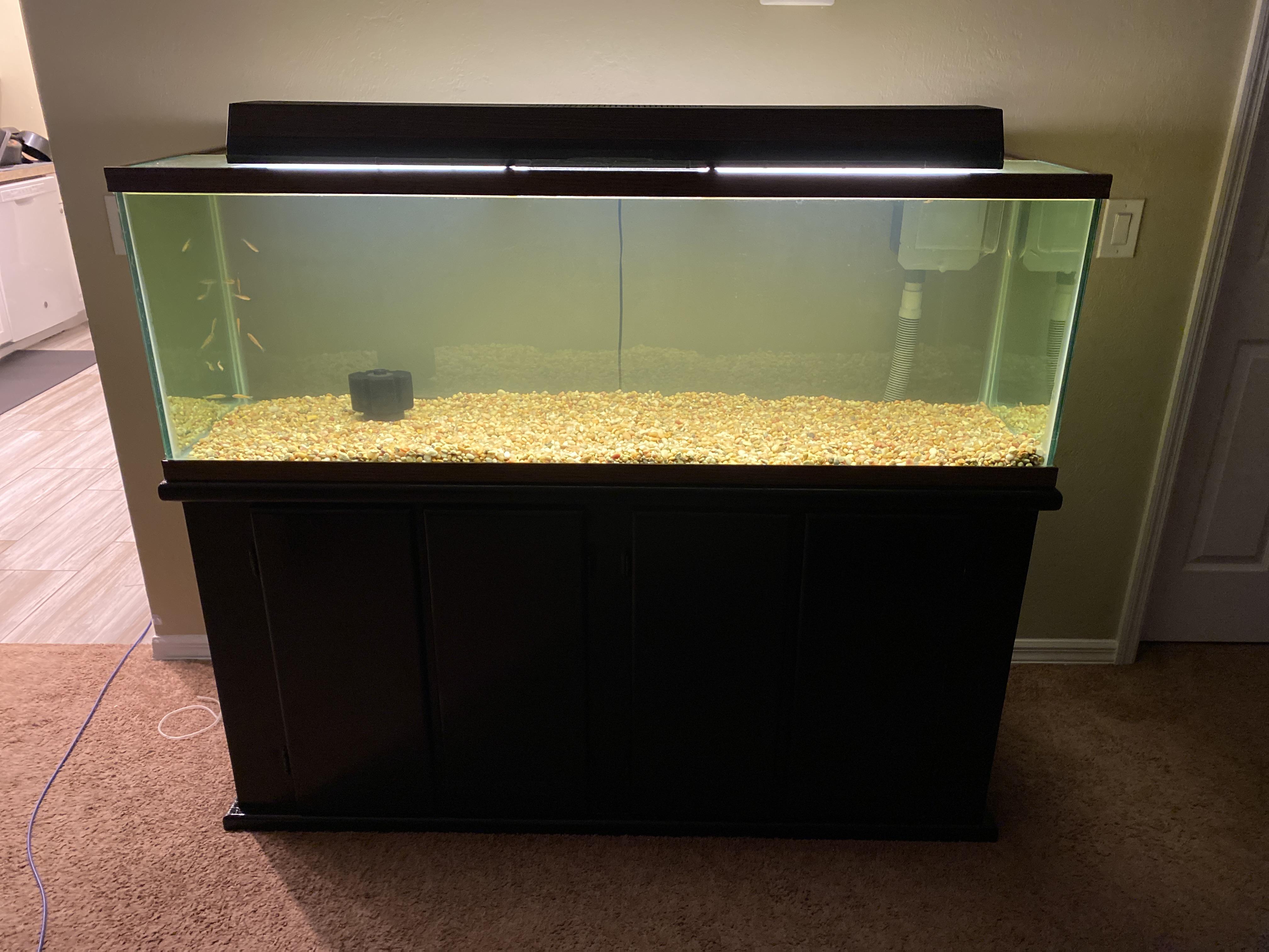 Cloudy glass. Set up my 100g noticed the glass was cloudy (it was an