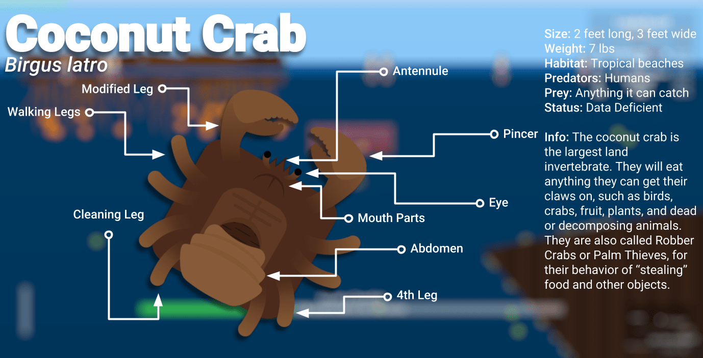 [MISC] Combining Deeeep.io with Marine Biology Coconut Crab Creature