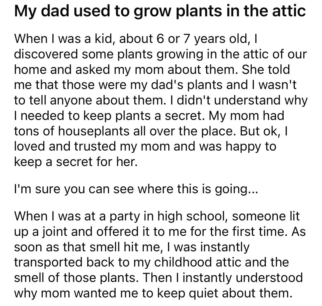 Obvious Plant 🪴😮‍💨 r/houseplantscirclejerk
