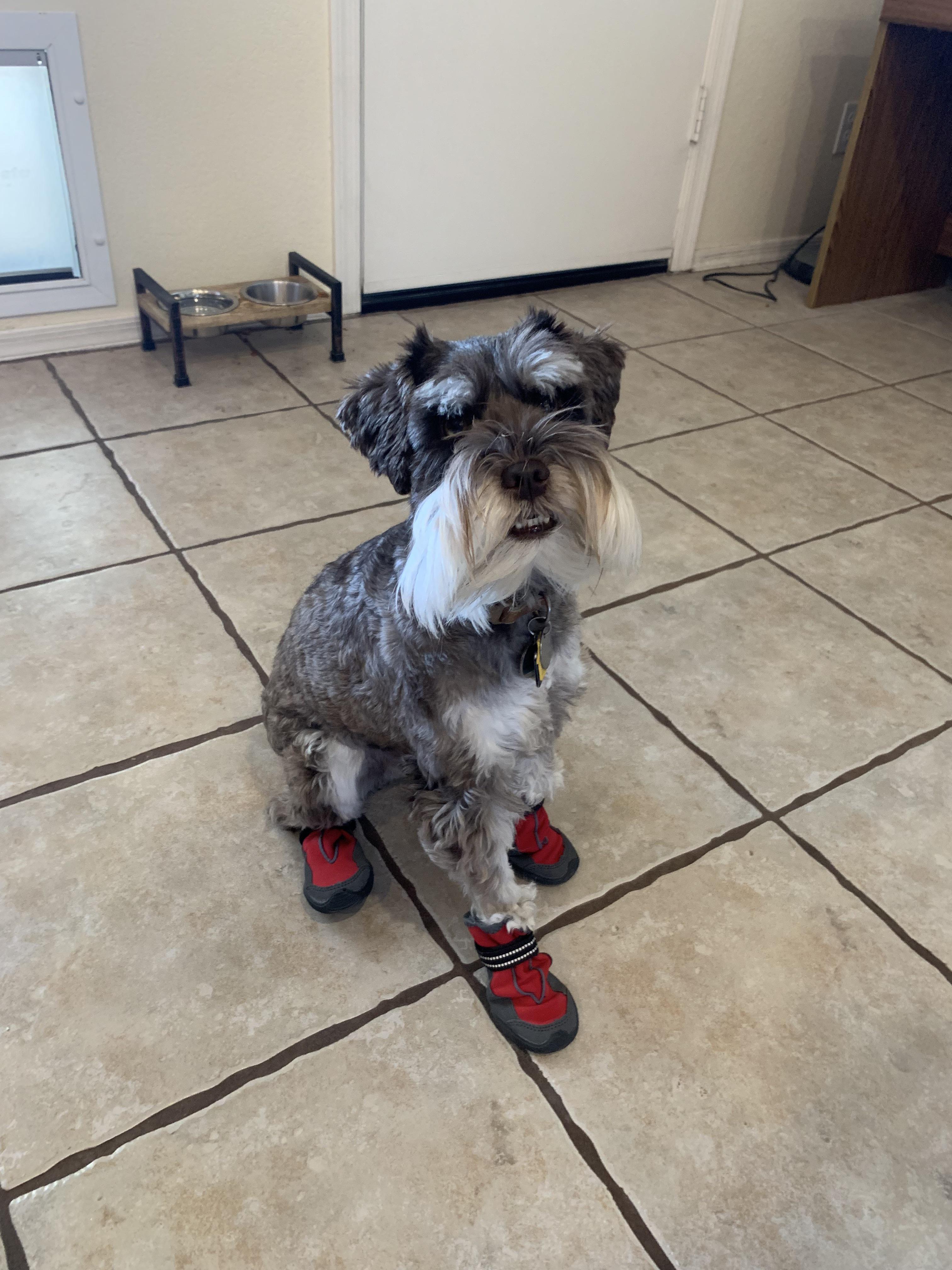 Walter says, “I know the pavement is hot in Arizona, but do I have to
