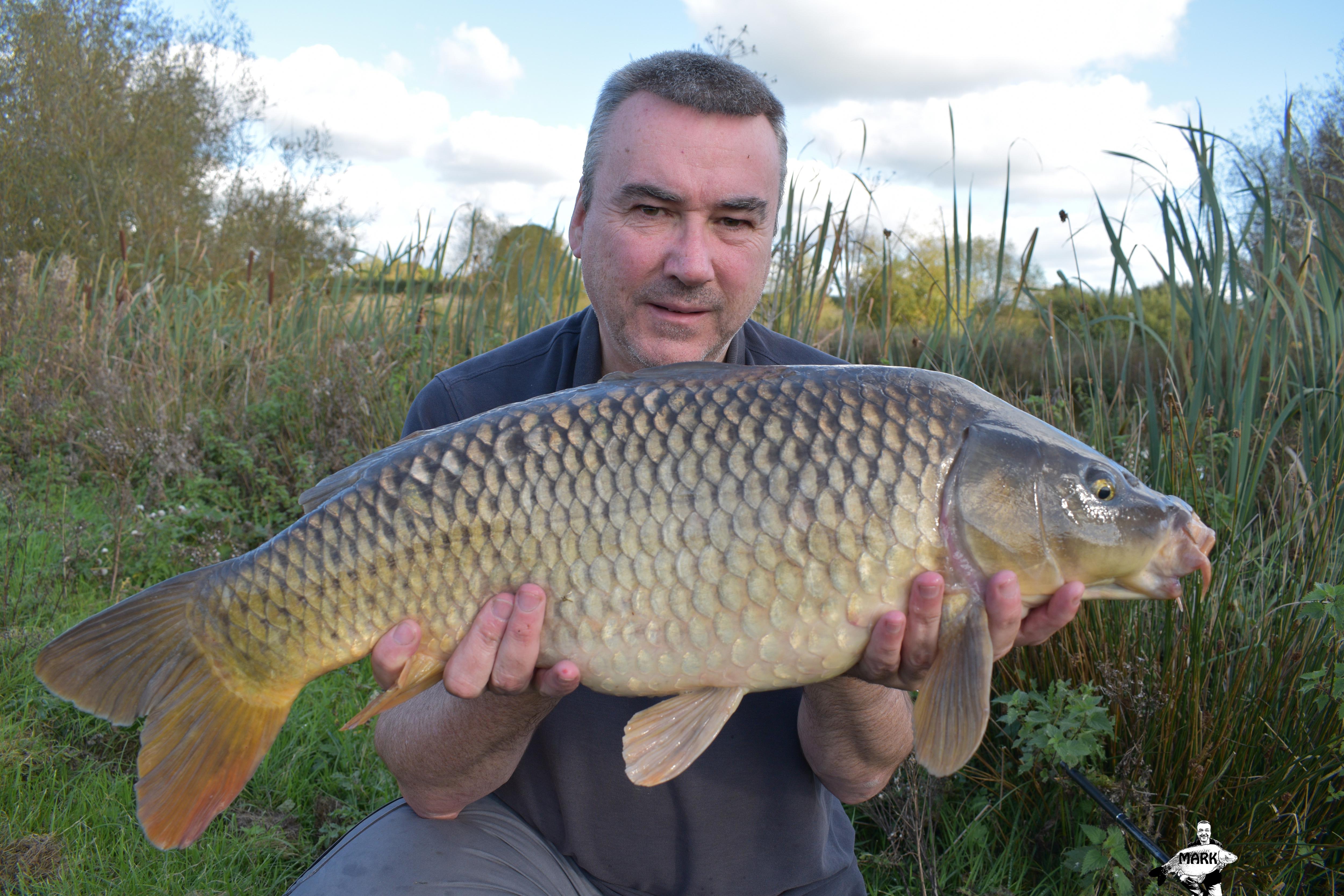 Another lovely looking common from a pretty good carp fishing season 👍🎣