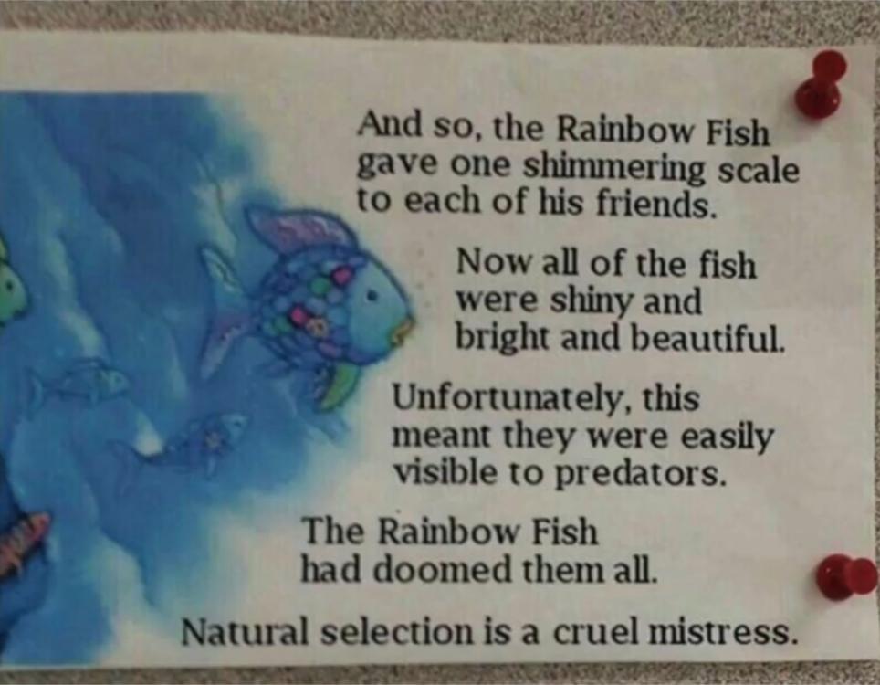 me🐠irl me_irl
