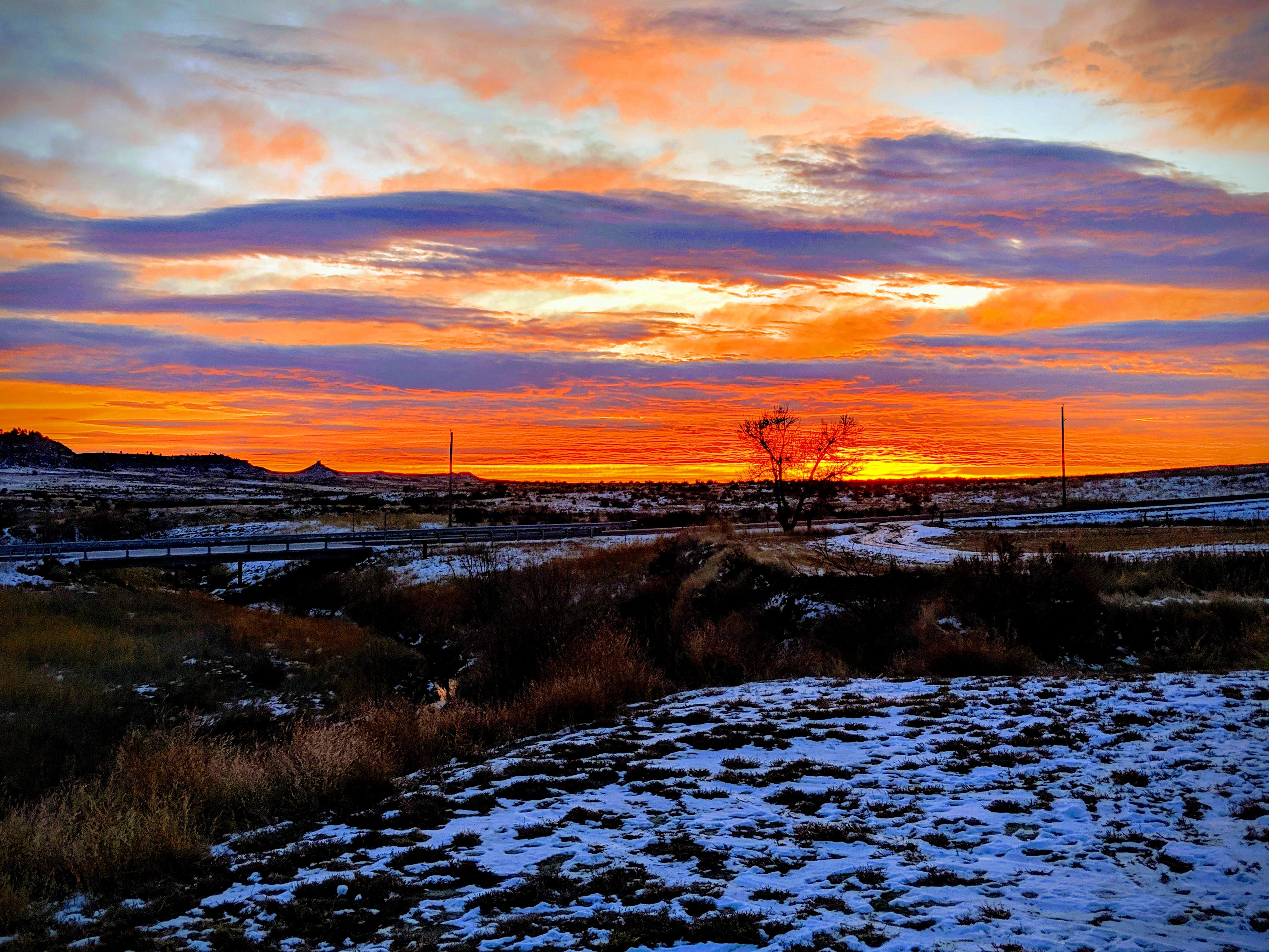 Reddit Dive into anything