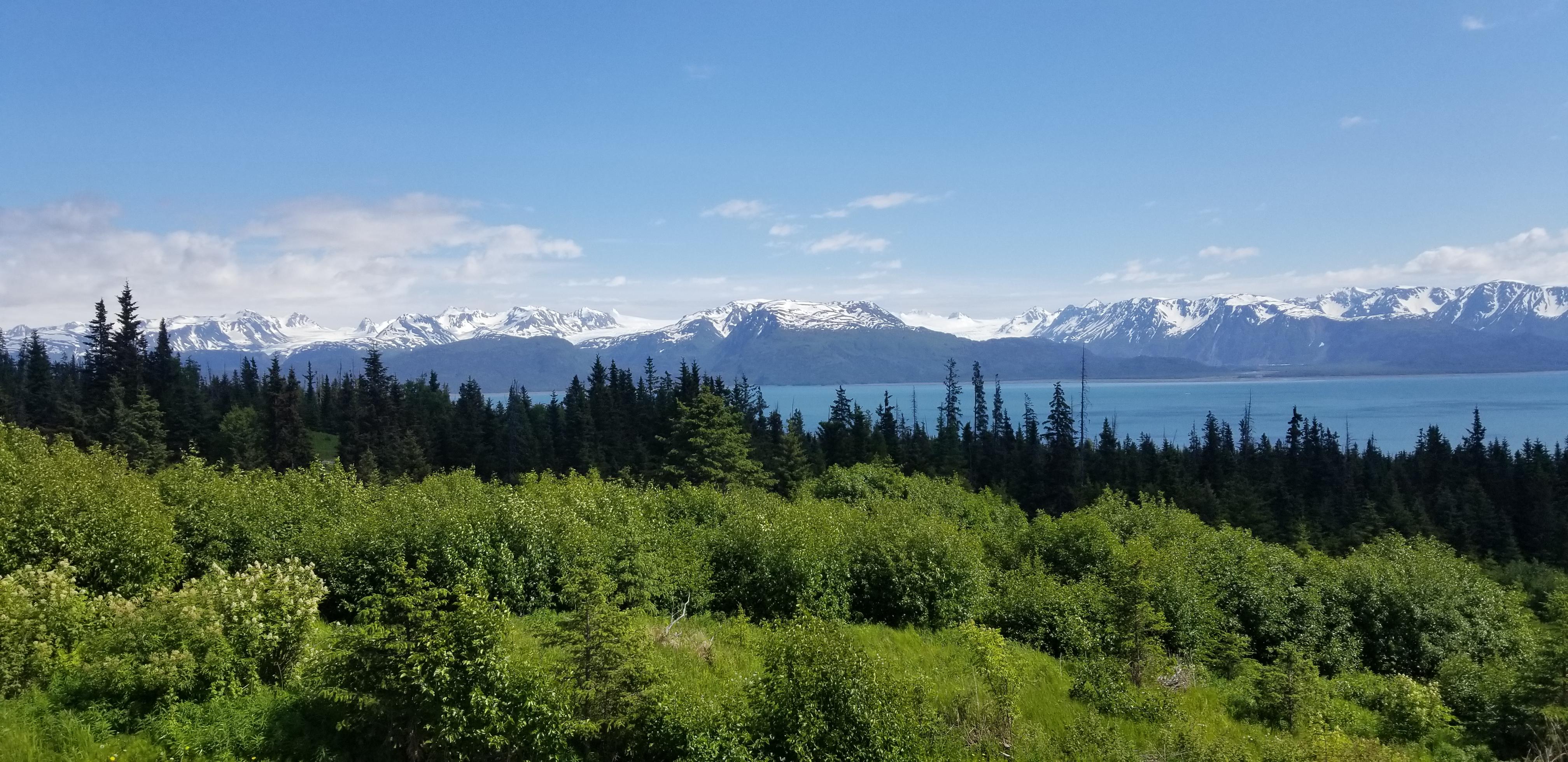 View of Dixon, Portlock, and Grewingk Glaciers from Homer, Alaska