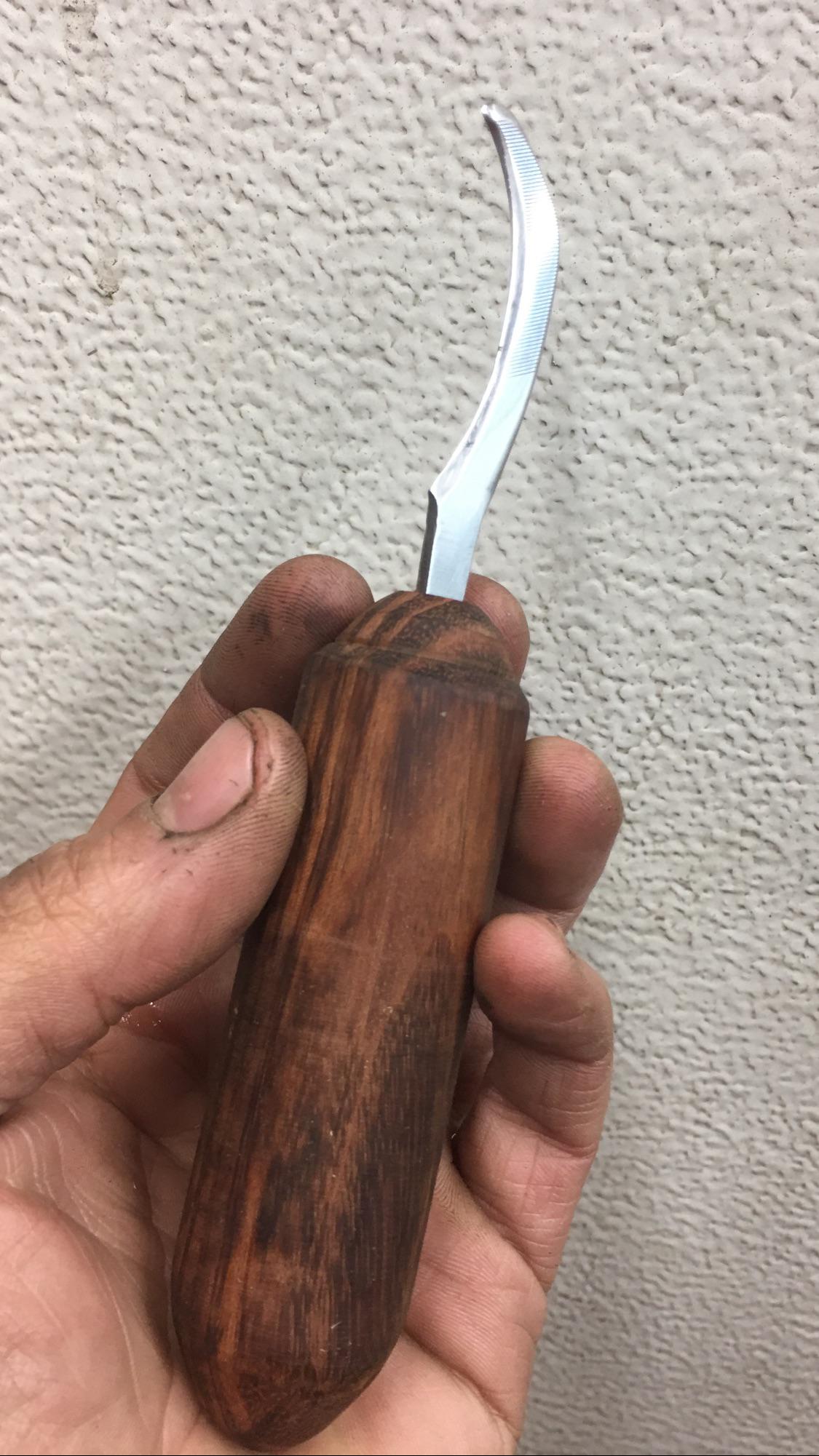 Morels will be here in the next 2 weeks. It ain’t much, but I’ve always