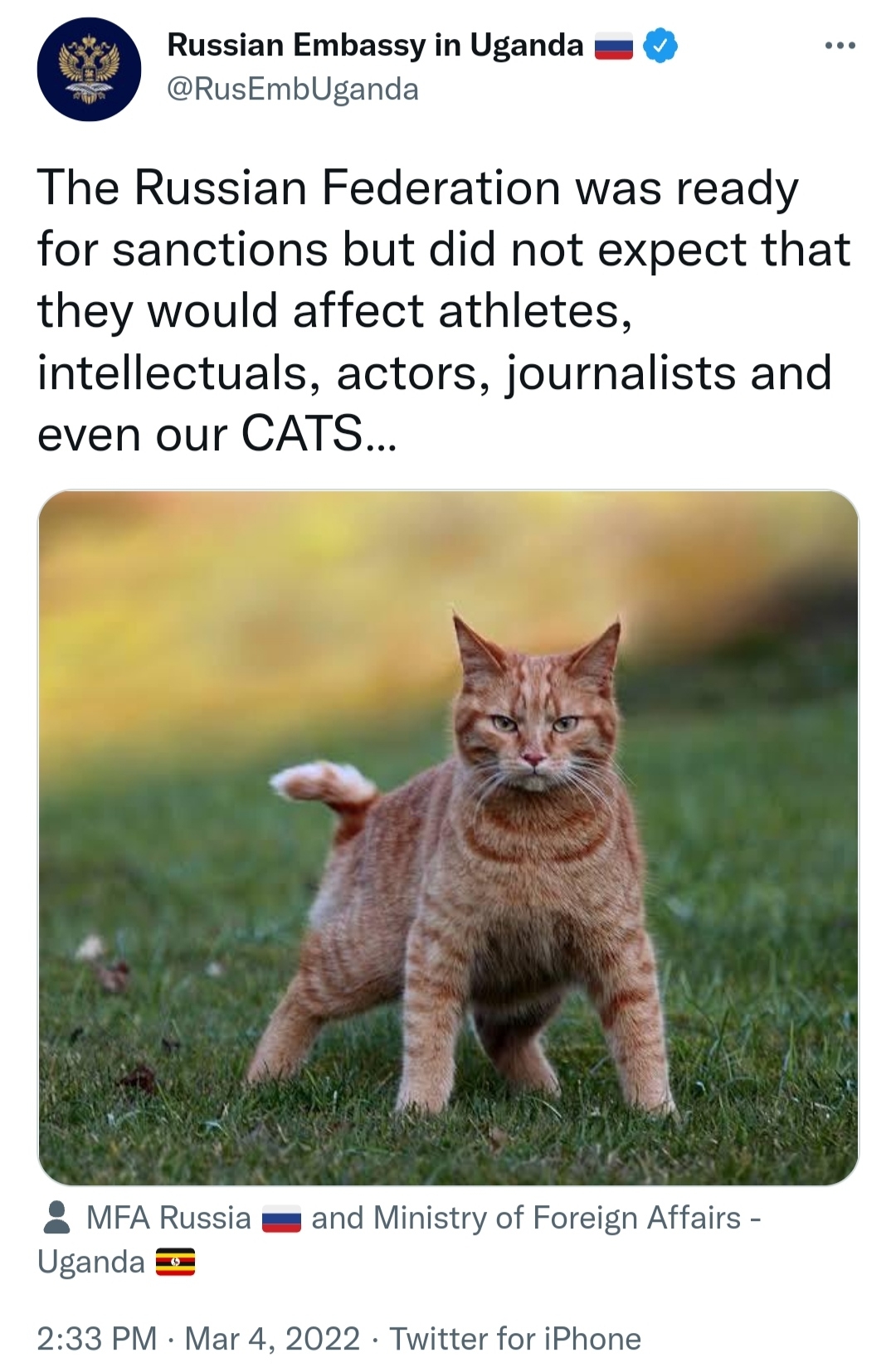 Russian embassy in Uganda trolling the west for the ban on russian cats