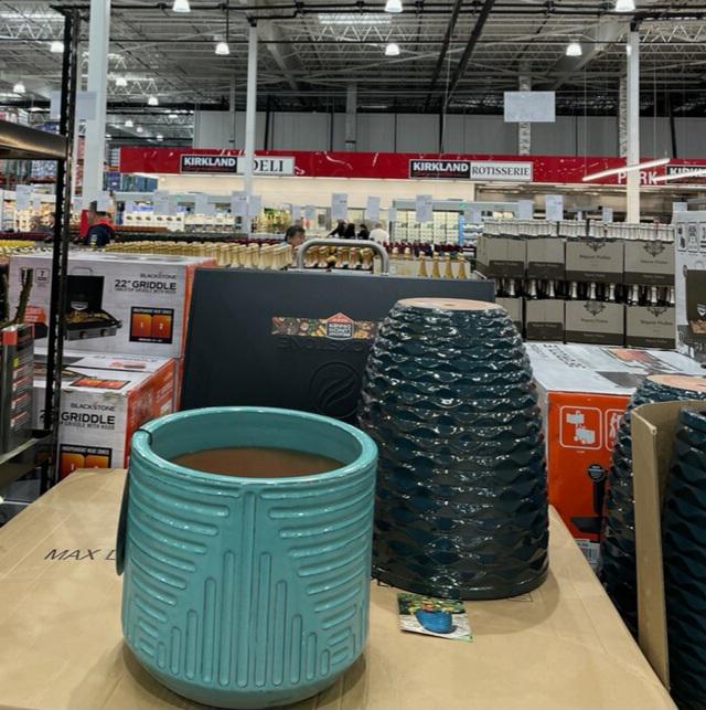 Costco has these huge ceramic planters r/houseplants
