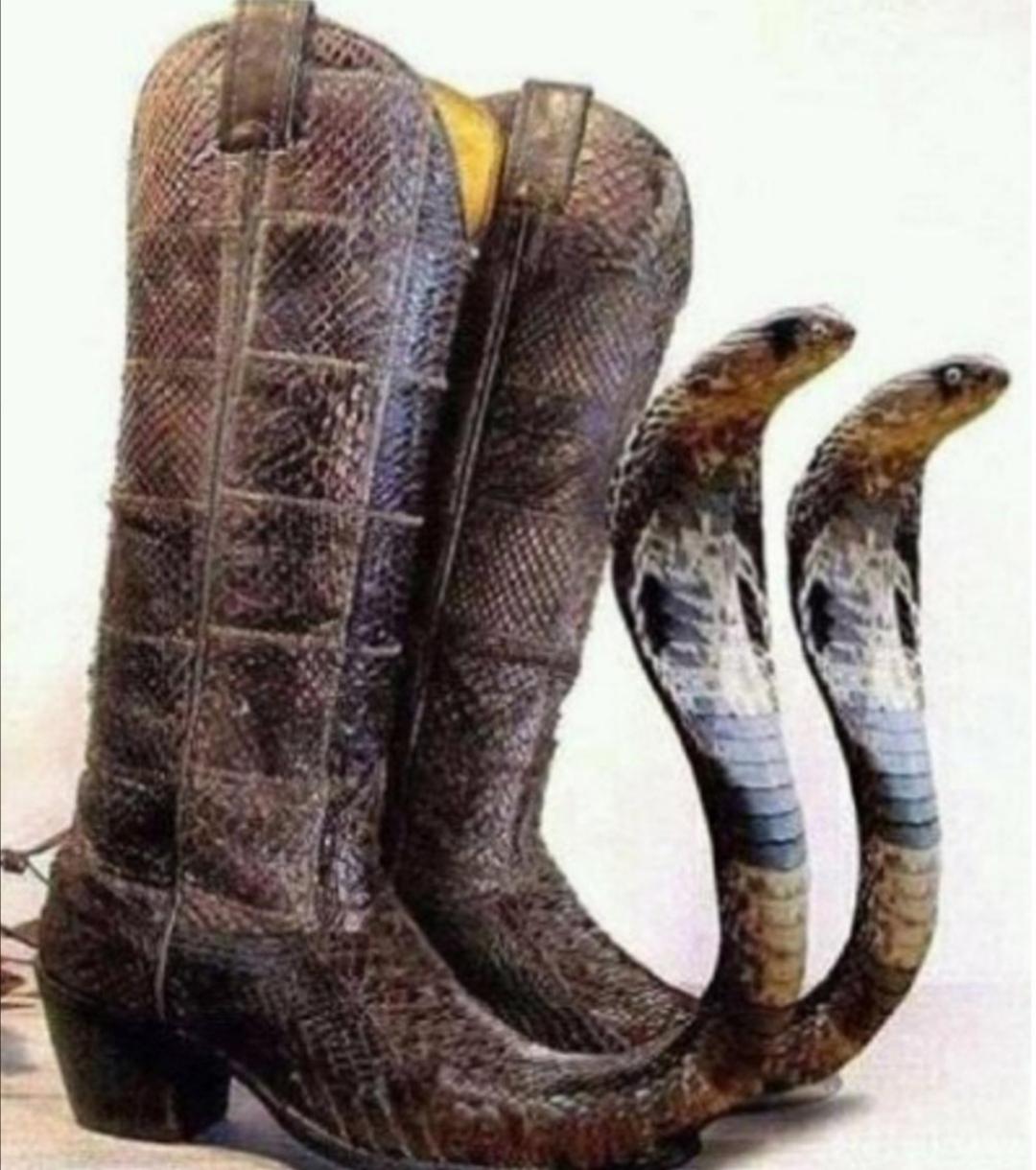 Snake boots +25 defense +40 speed, all kick based attacks has a 25 chance of poisoning the