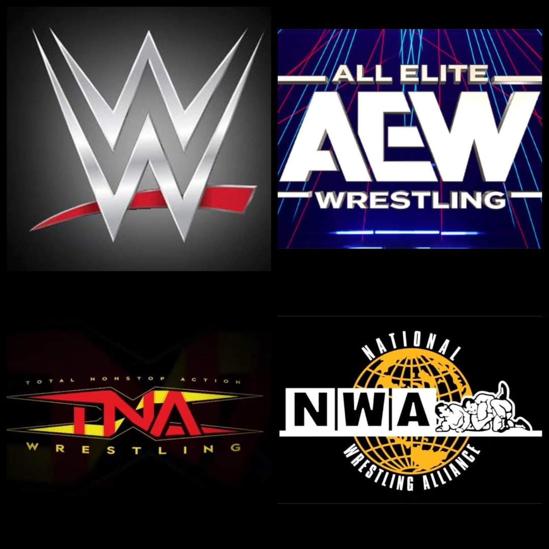 So in 2024 these will be the top wrestling companies in America. r/Wrasslin