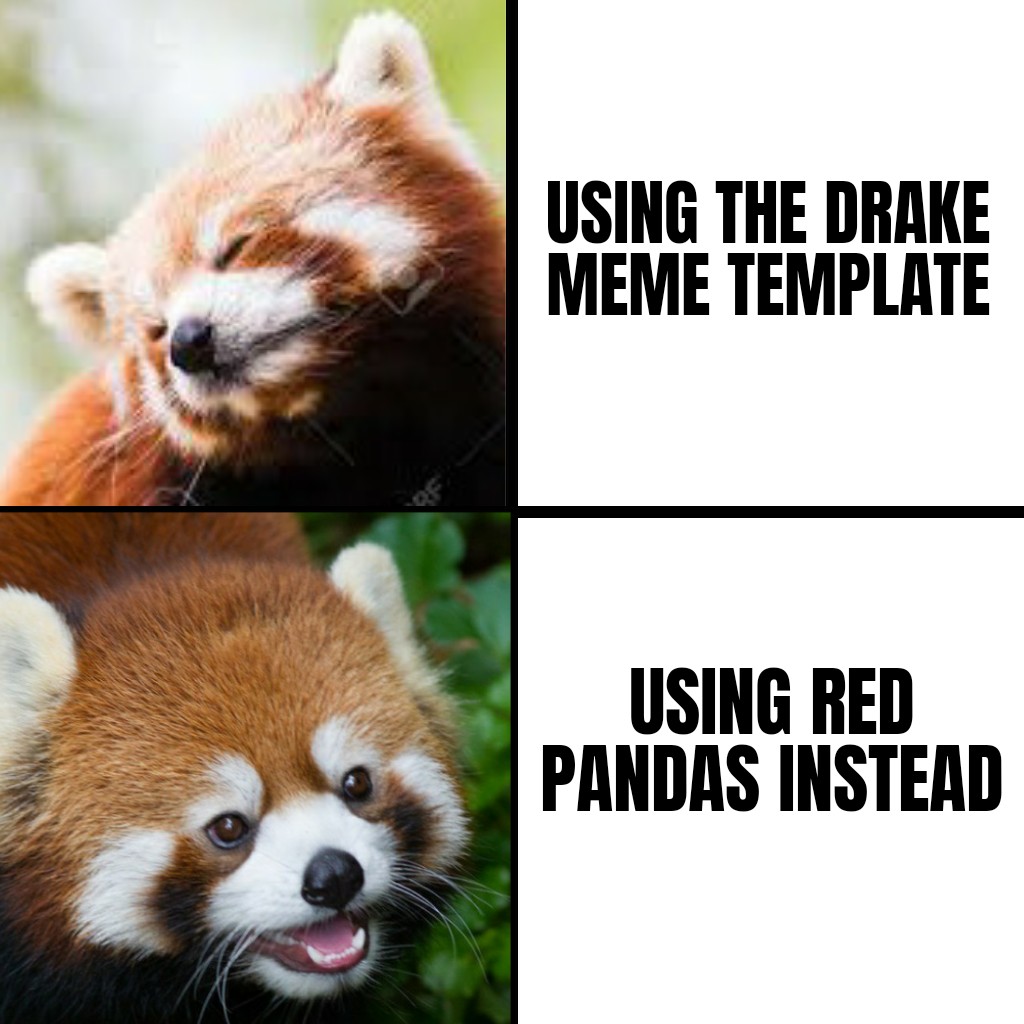 Promoting Red Panda Memes! r/redpandas