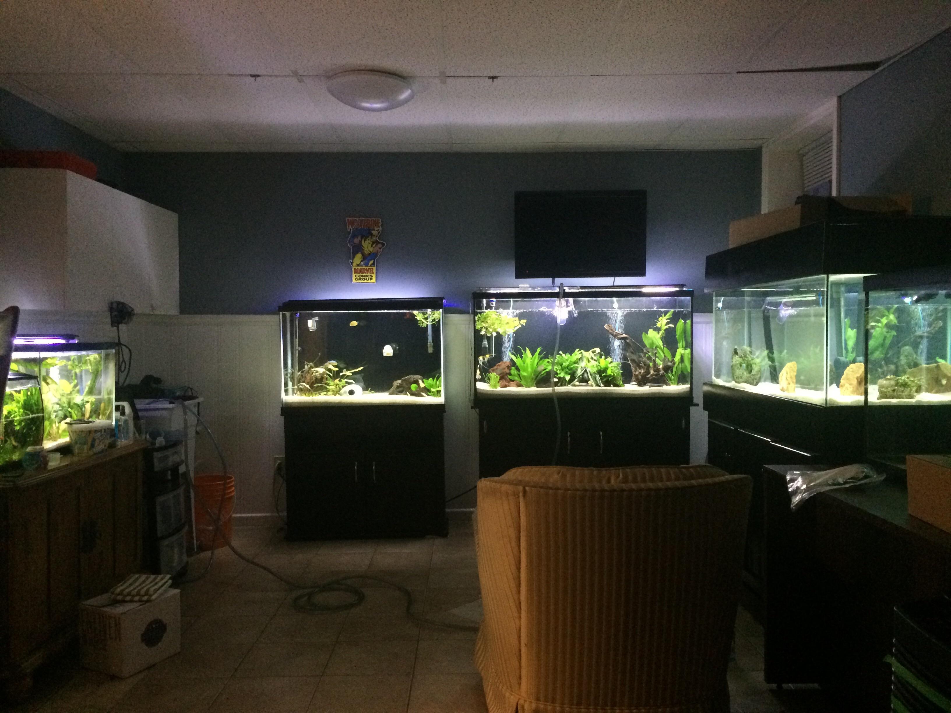 Water change time! r/Aquariums