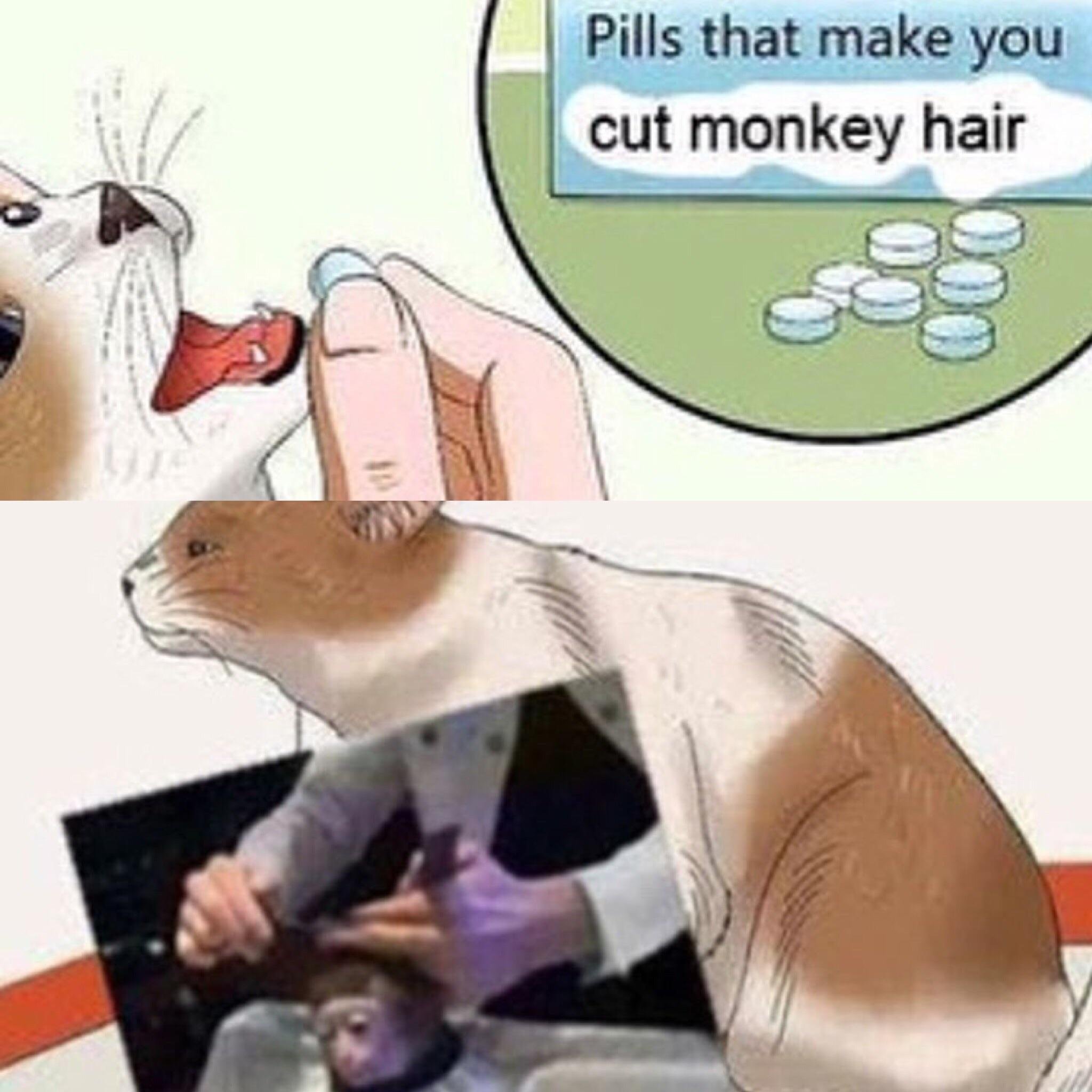 Oof ouch owie my monkey hair bonehurtingjuice
