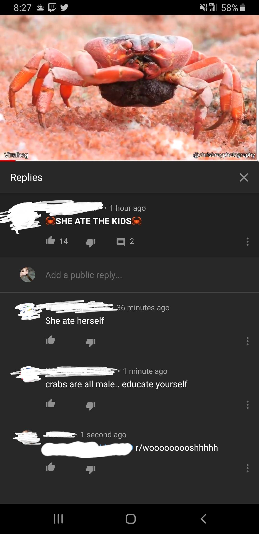 Christmas Island Red Crabs eat their babies r/woooosh