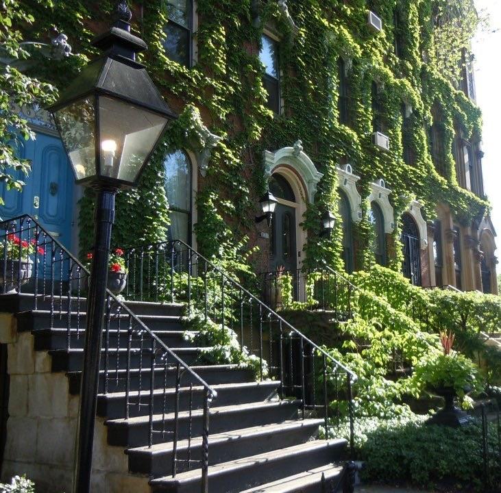 3066 best Prospect images on Pholder Brooklyn, Fifa Careers and