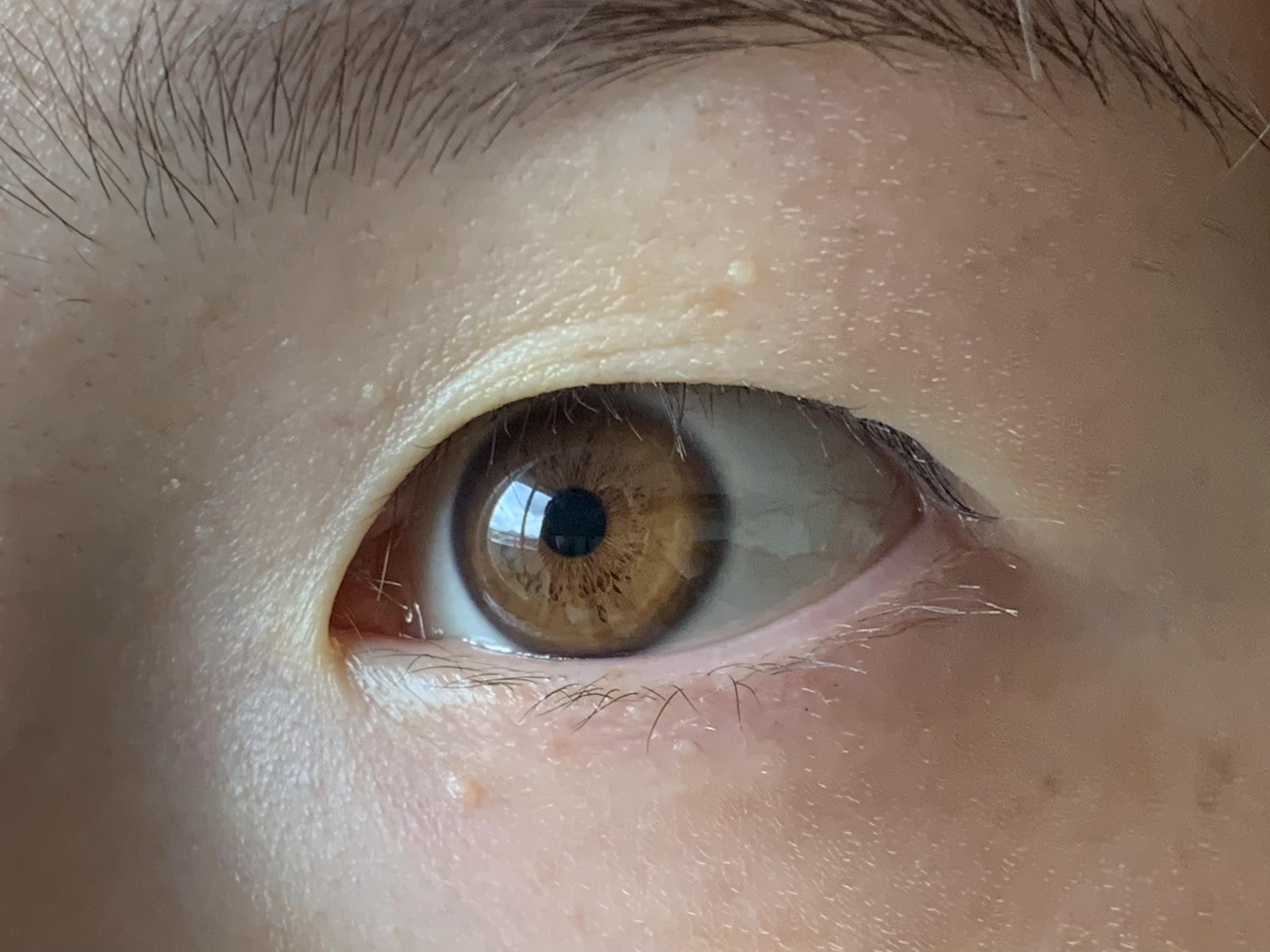 My brown Asian eye r/eyes