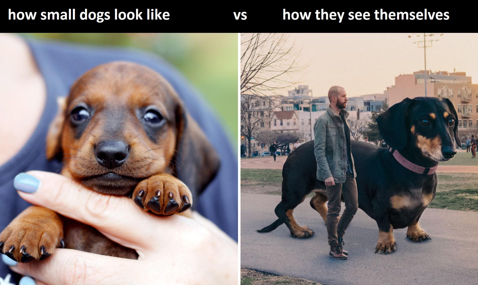 296 best u/gunnergio14 images on Pholder Memes, and Tekken