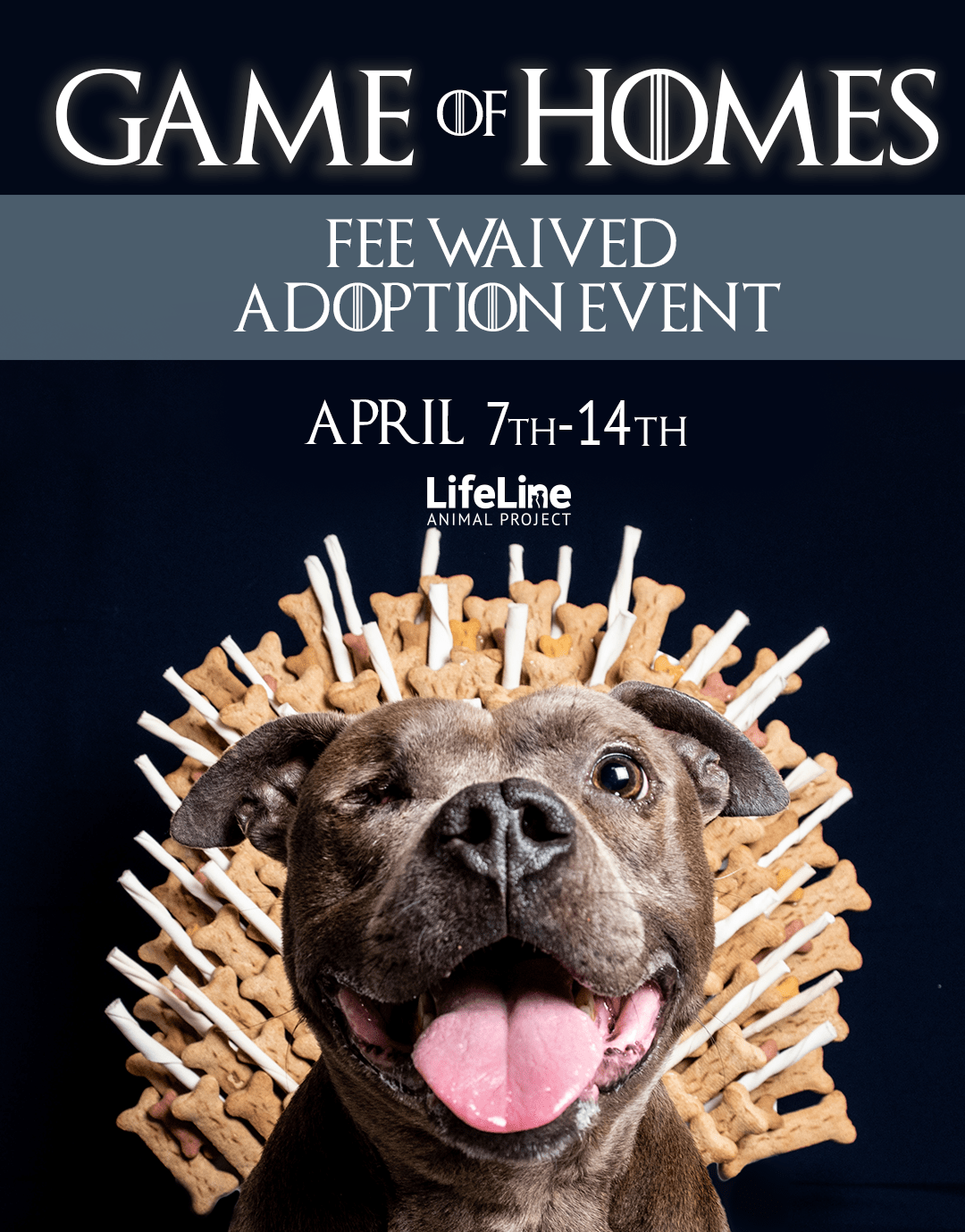 The shelter pets of LifeLine, first pets of their name, kings and