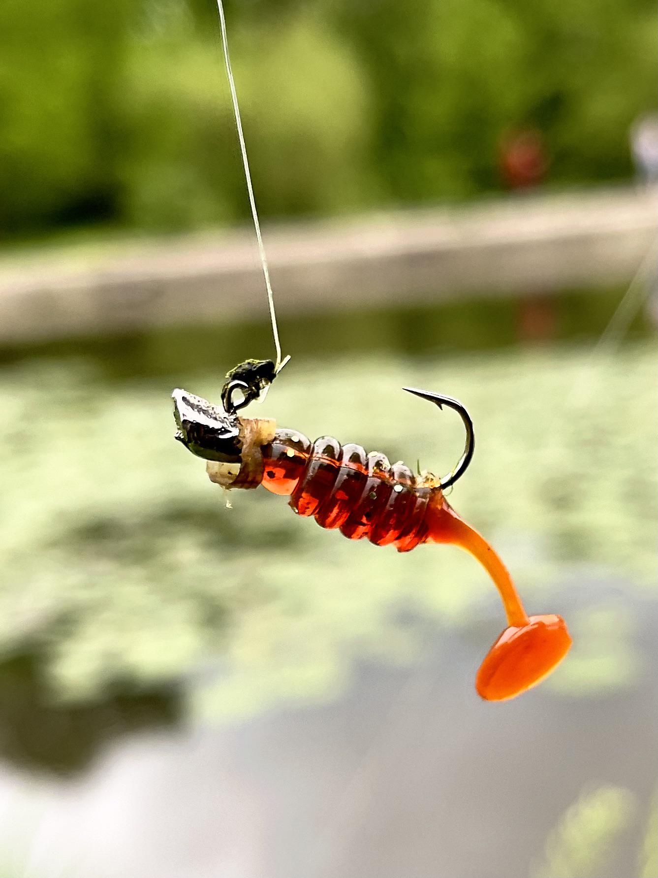 Little lure for ultralight fishing is a killer. r/Fishing_Gear