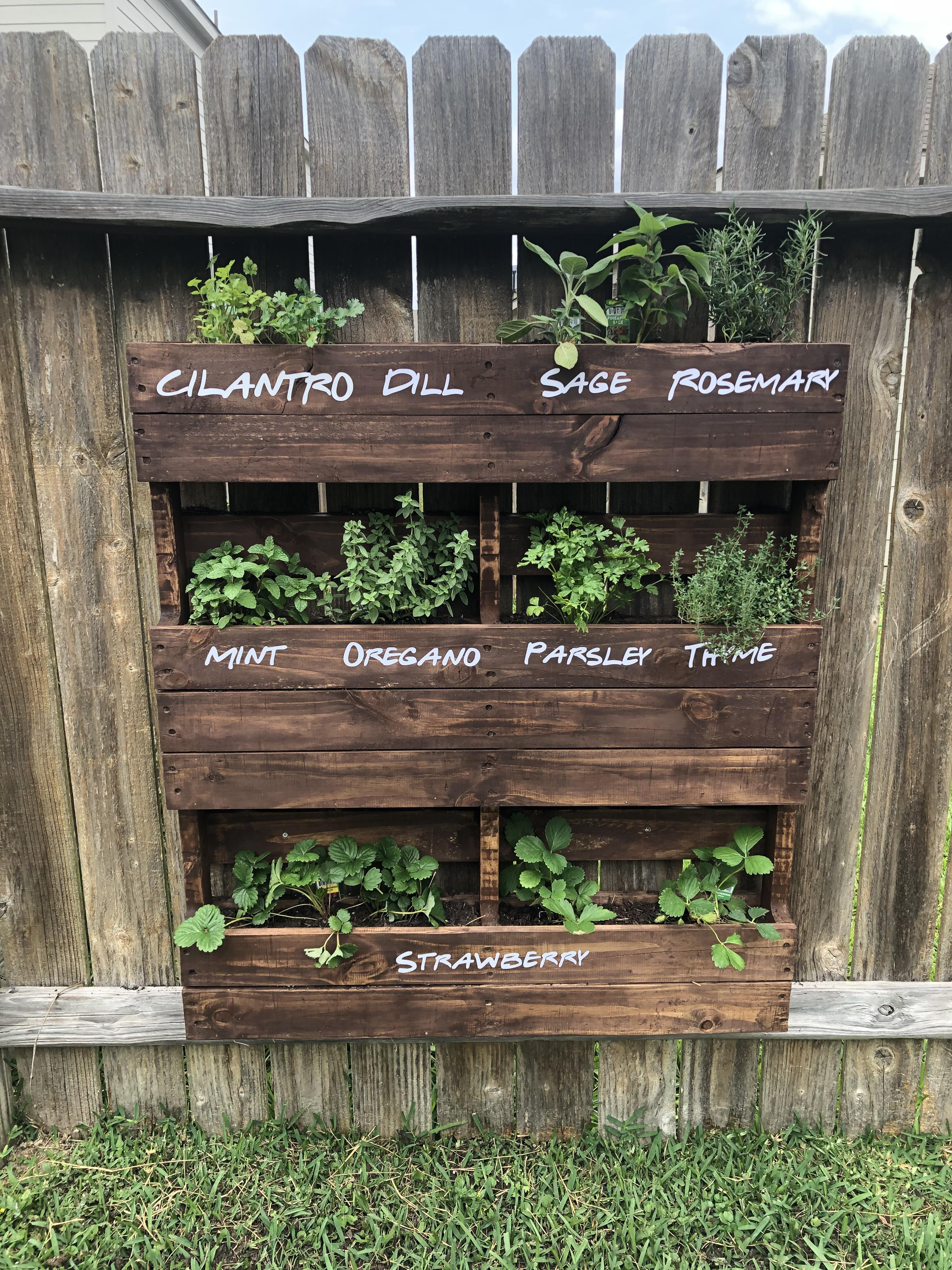 Sorry if this is overdone, but i’m really proud of my pallet planter