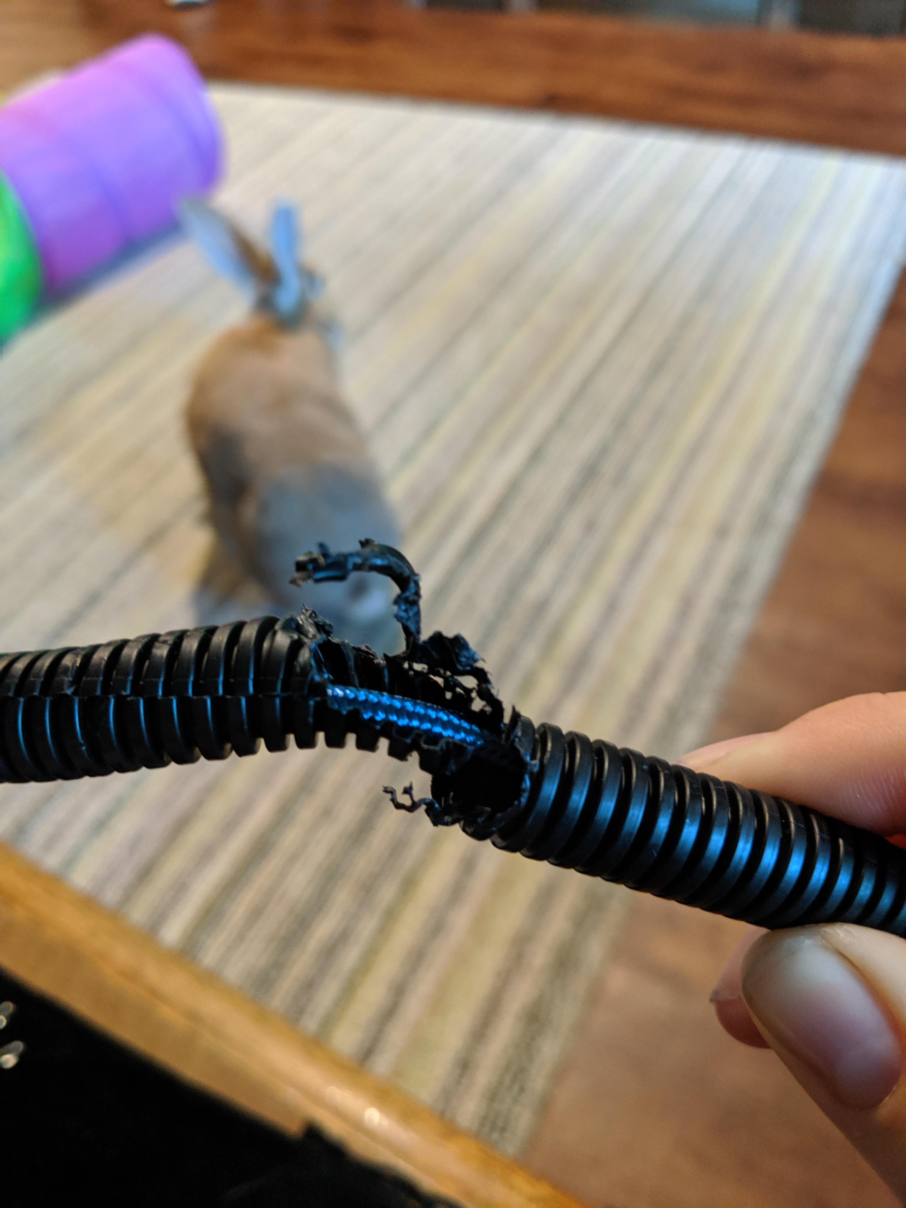 Friendly reminder that your cable protectors are not infallible and