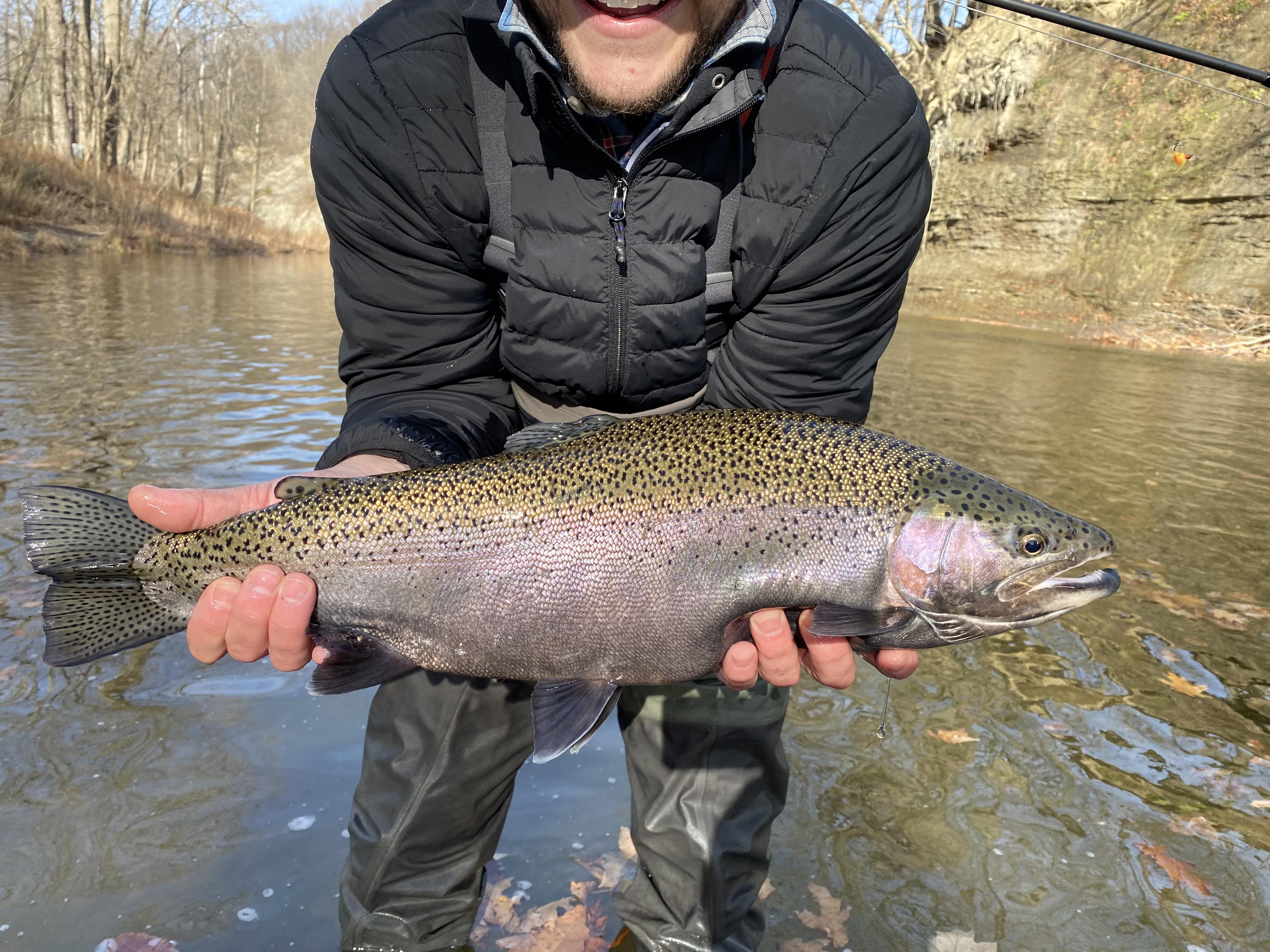 Erie “Steelhead” r/flyfishing