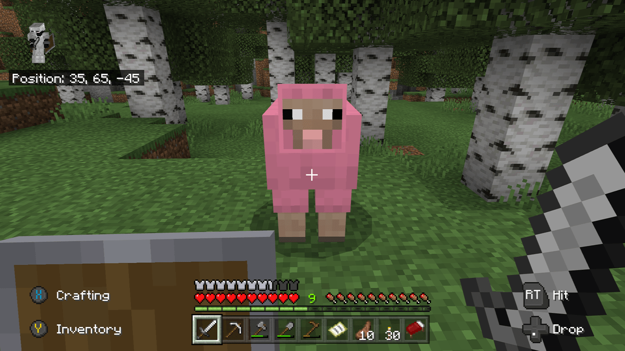 I'VE FINALLY FOUND THE PINK SHEEP!! r/gaming