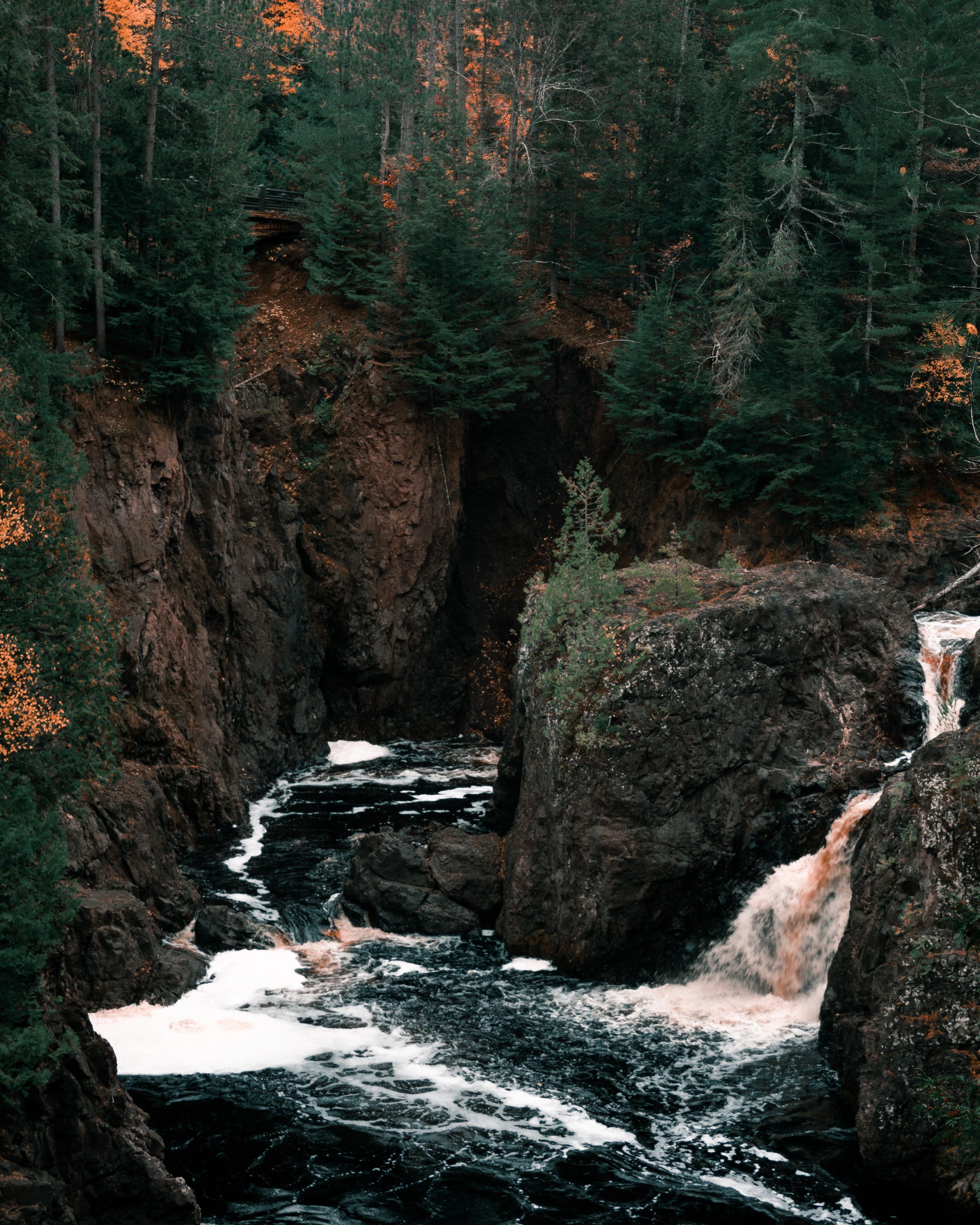 Copper Falls State Park, WI [OC] [3186x3982] EarthPorn