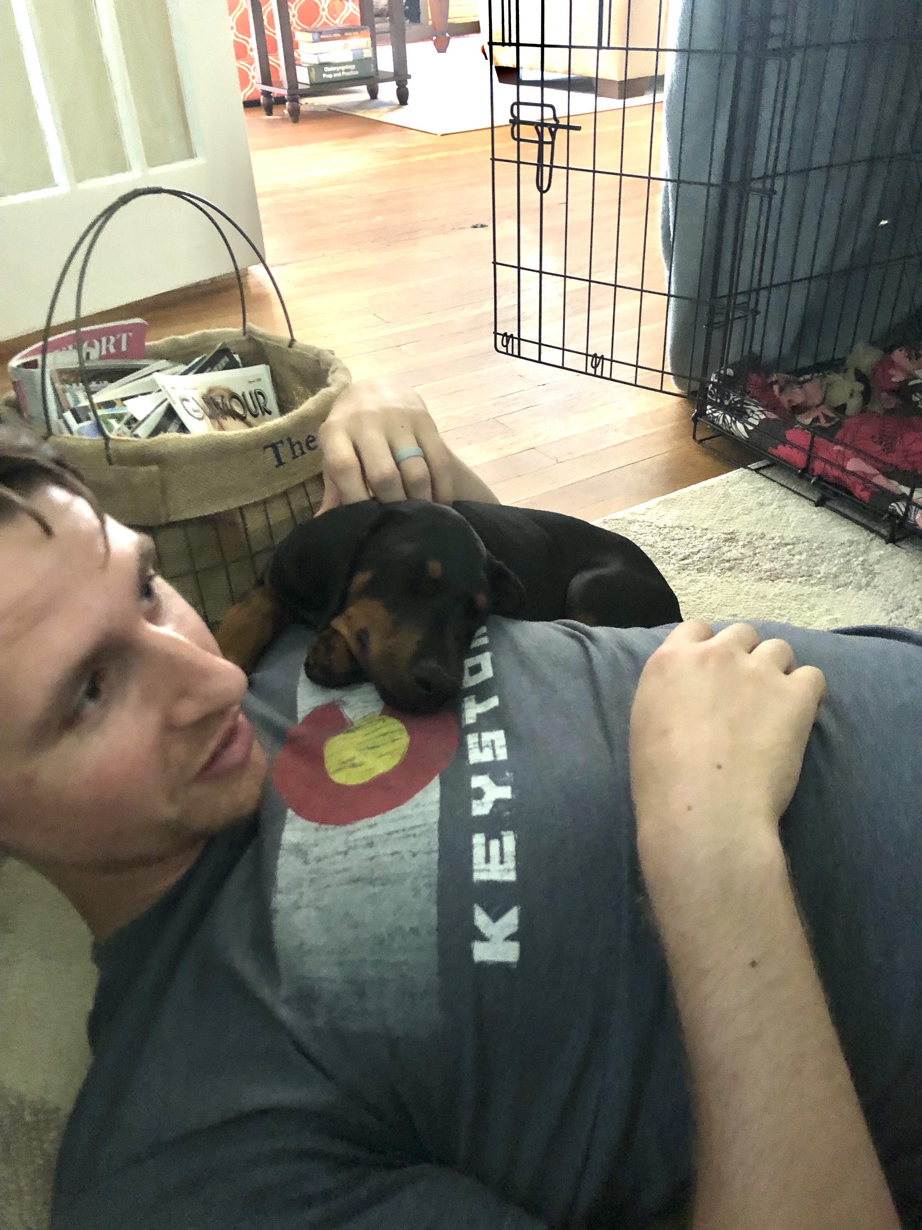 New puppy crawled out of her crate to crawl halfway up my chest and