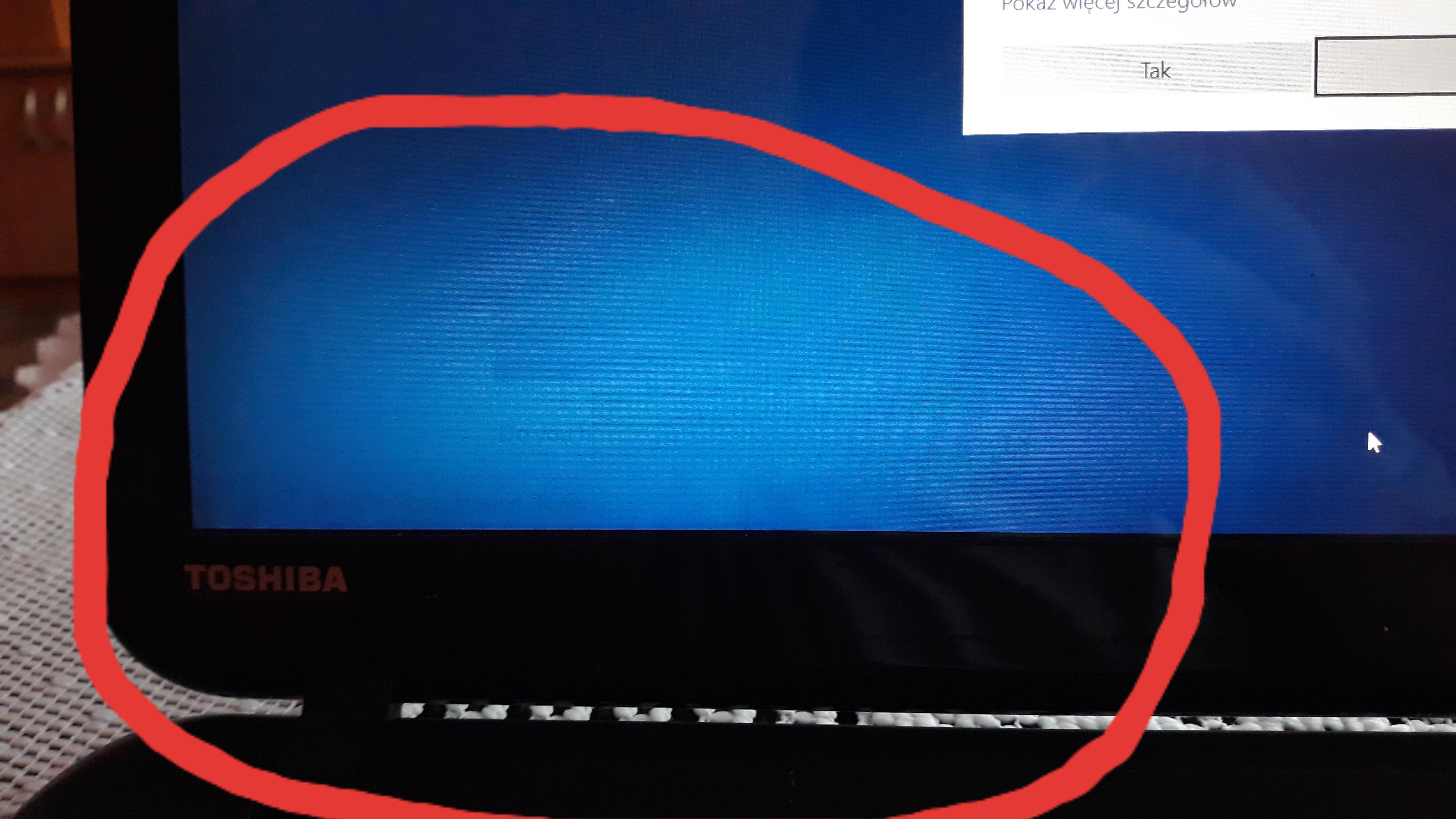 What's this ? It's like BurnIn but i have an LCD display , and it goes