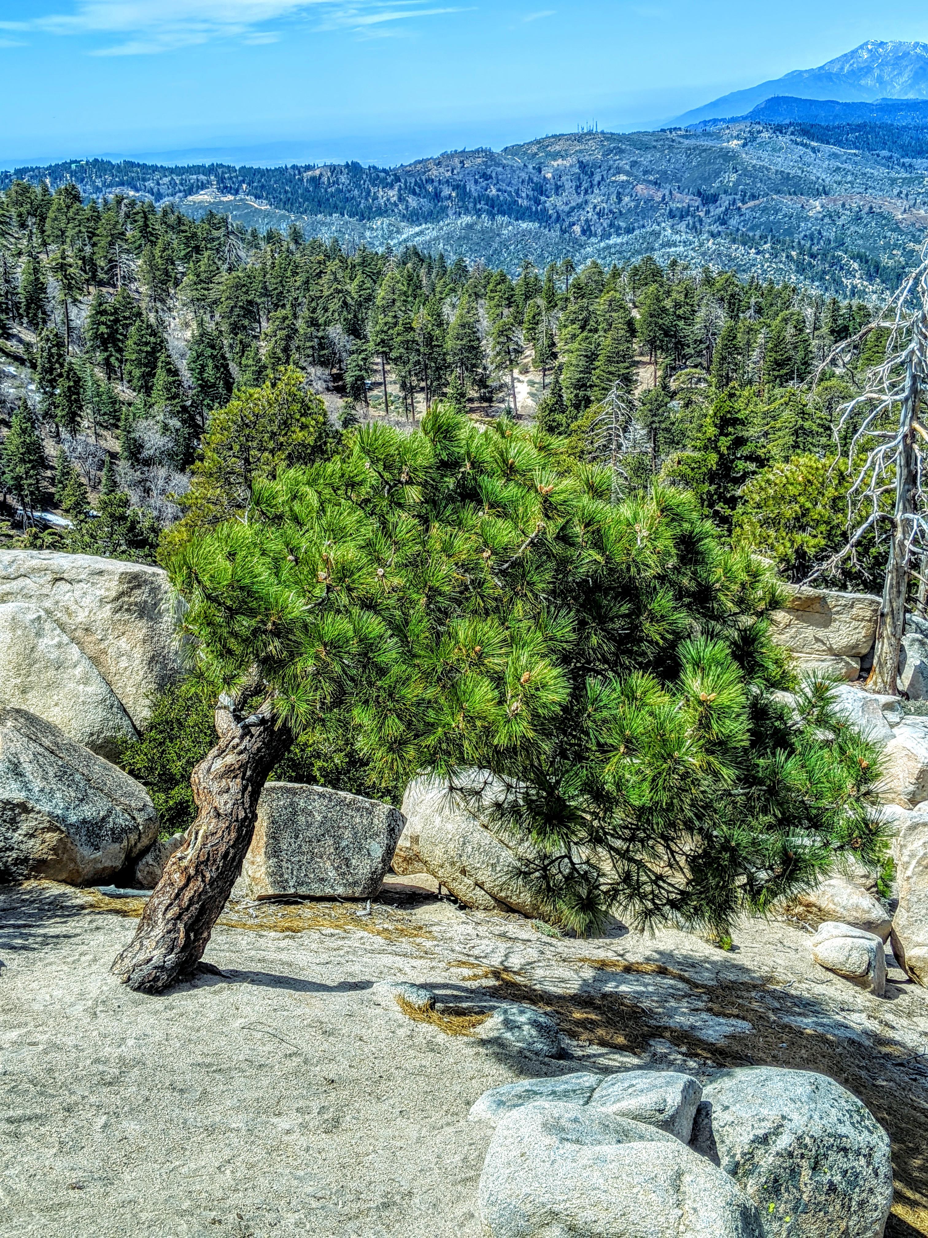 685 best Green Lake images on Pholder Seattle, Earth Porn and