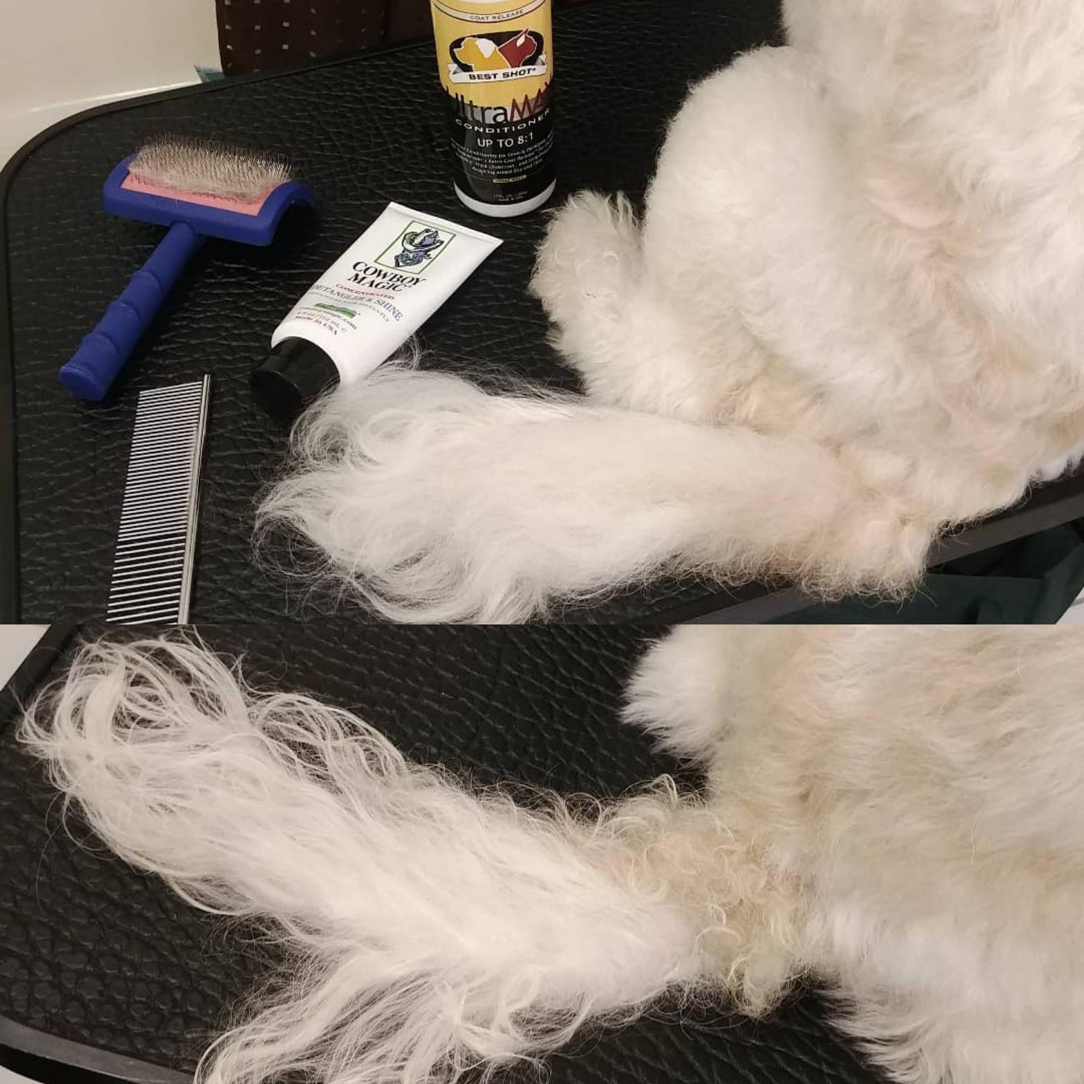 Matted tail brush out! *I'm so proud* What products do you use? r