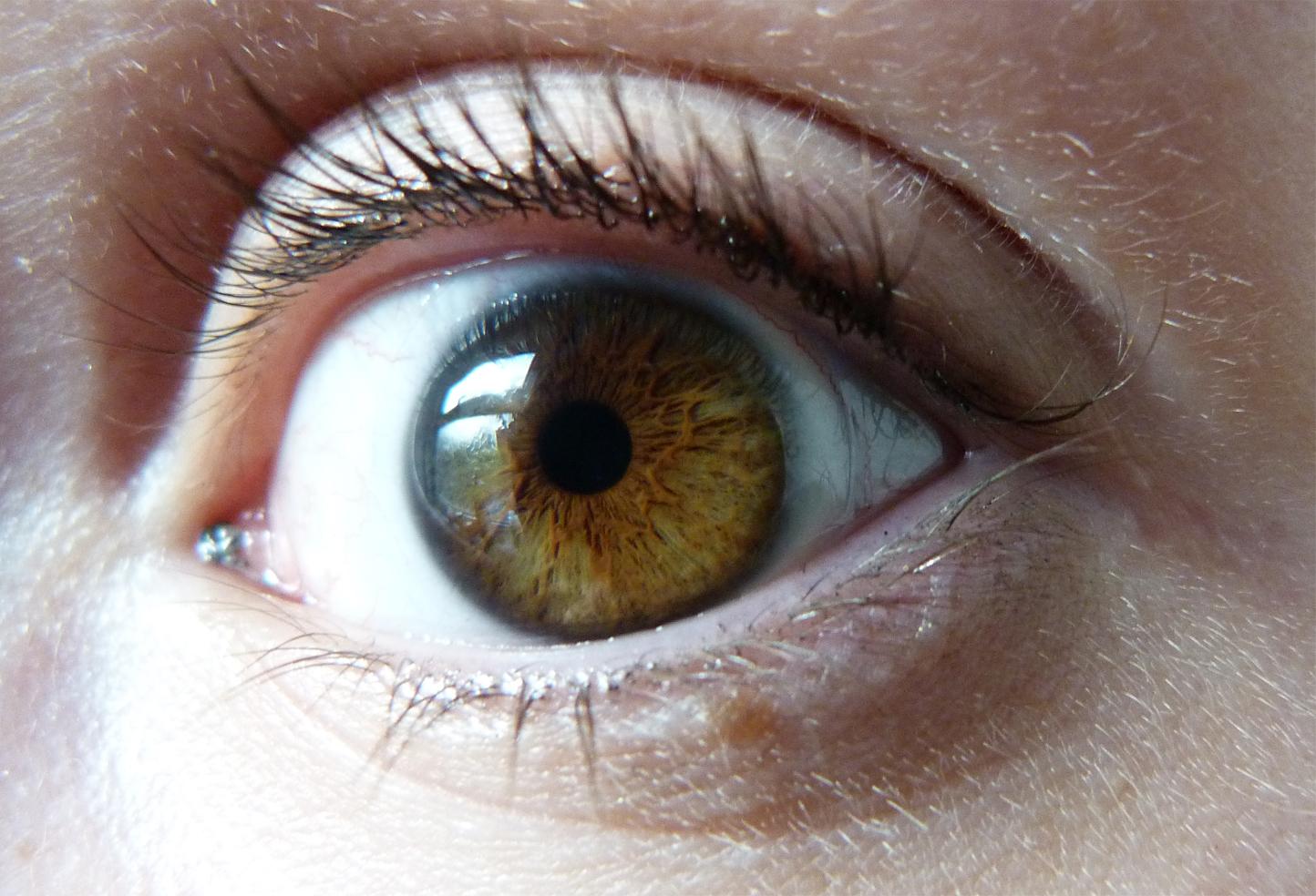 The weird, swamp vine magic of hazelbrown eyes r/eyes