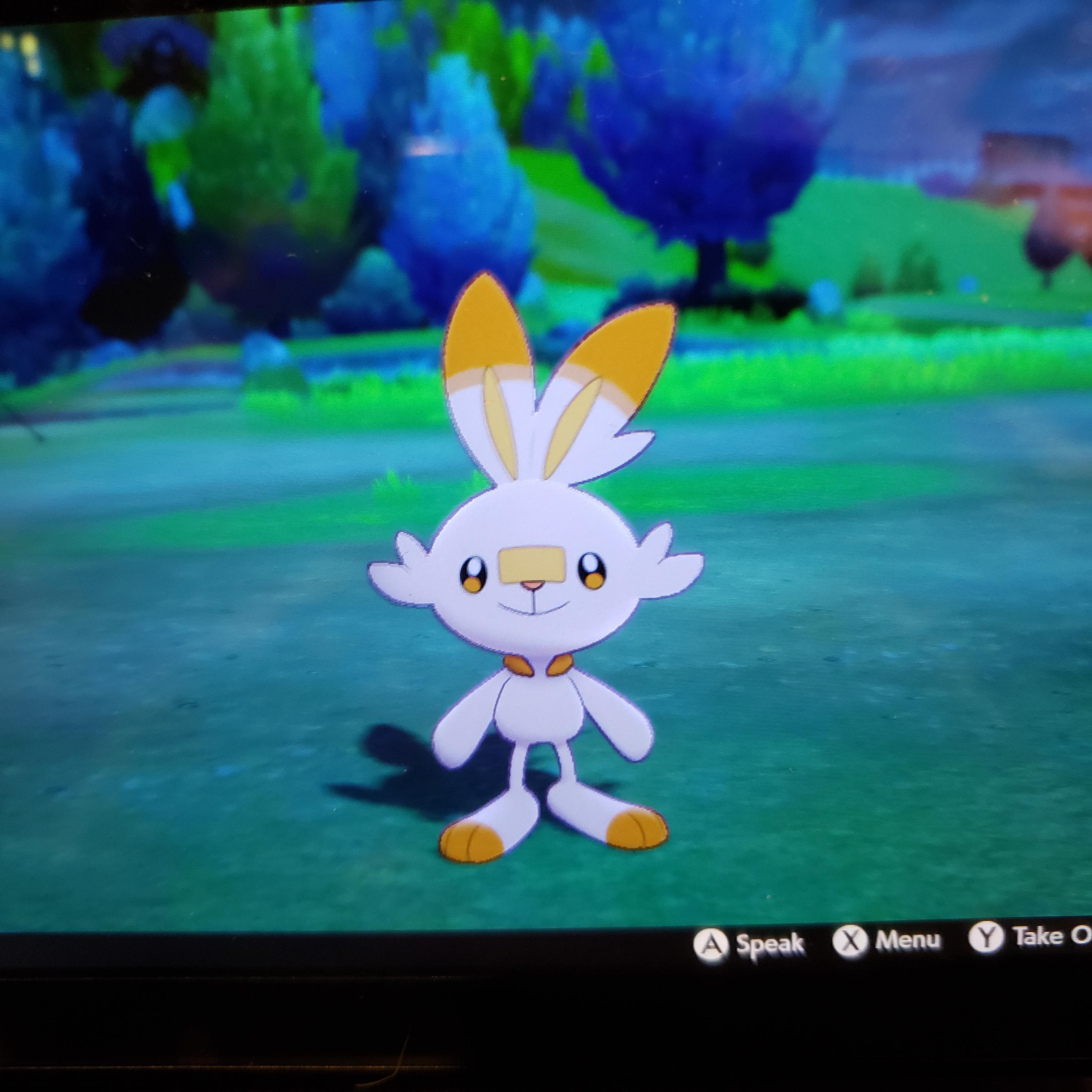 Breeding a shiny Playthrough team Part 1 Scorbunny, complete! I