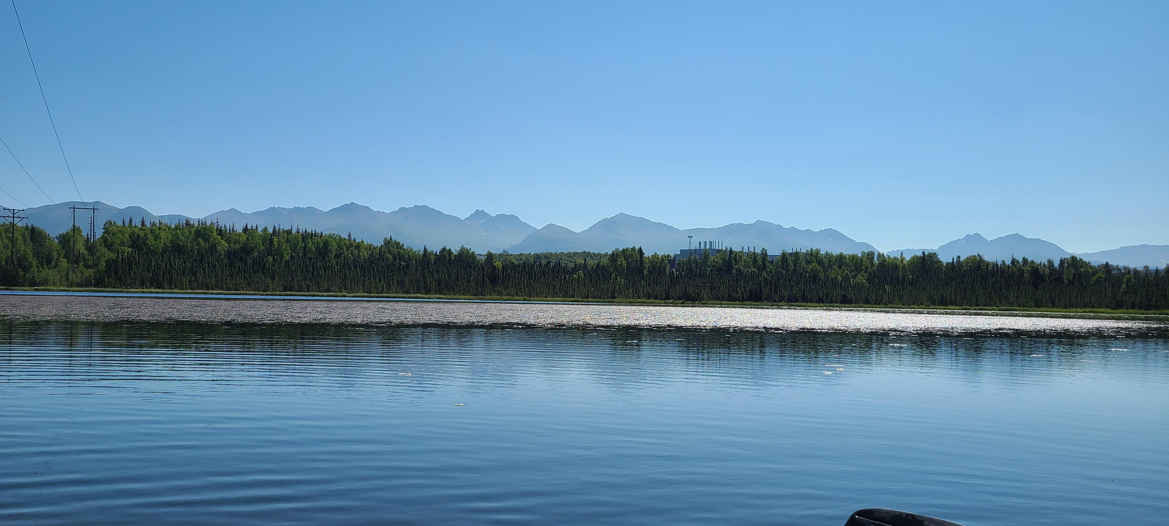 Goose Lake, Anchorage, Alaska r/pics