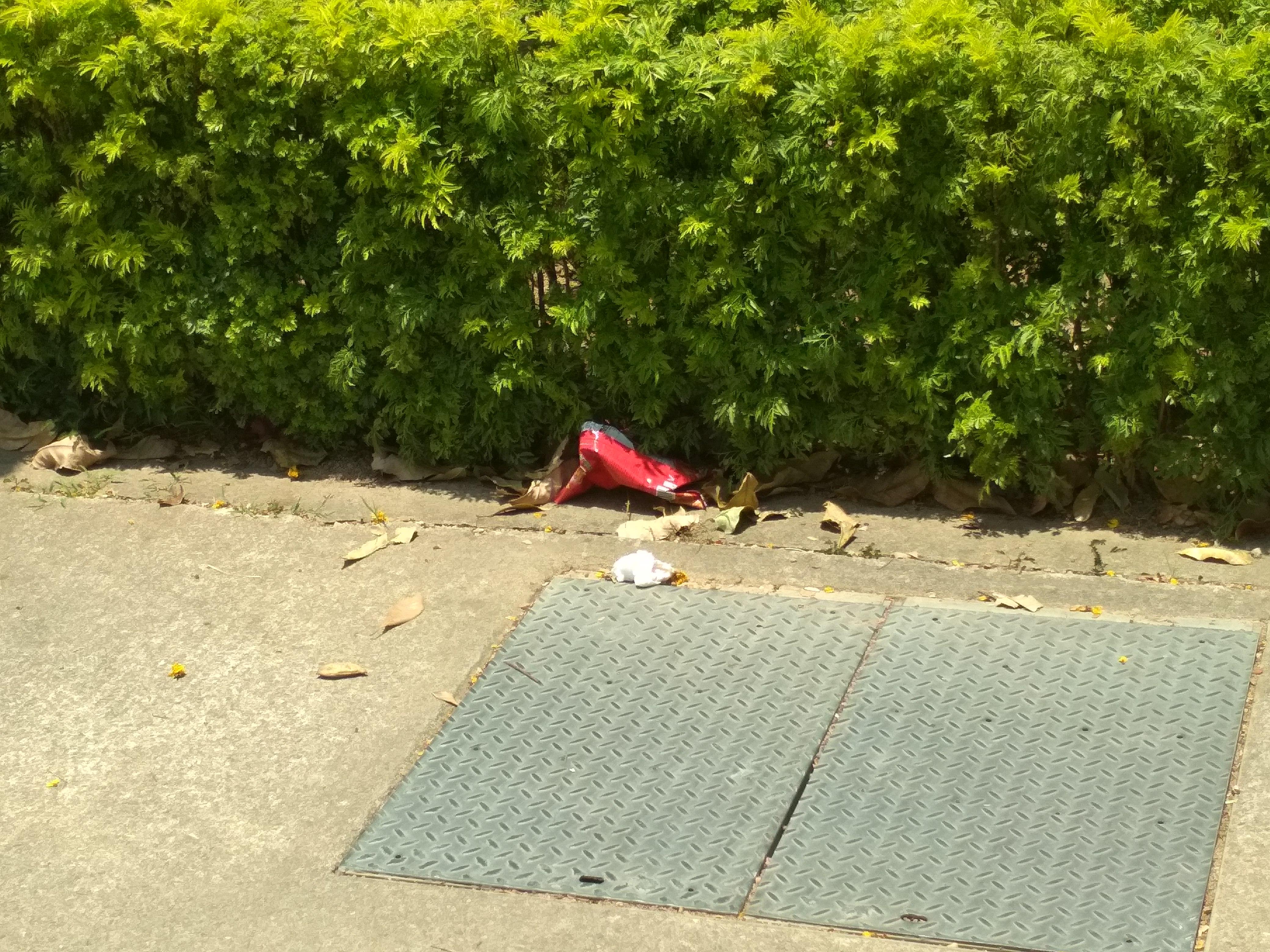 Isn't throwing garbage a criminal offence in Singapore first time