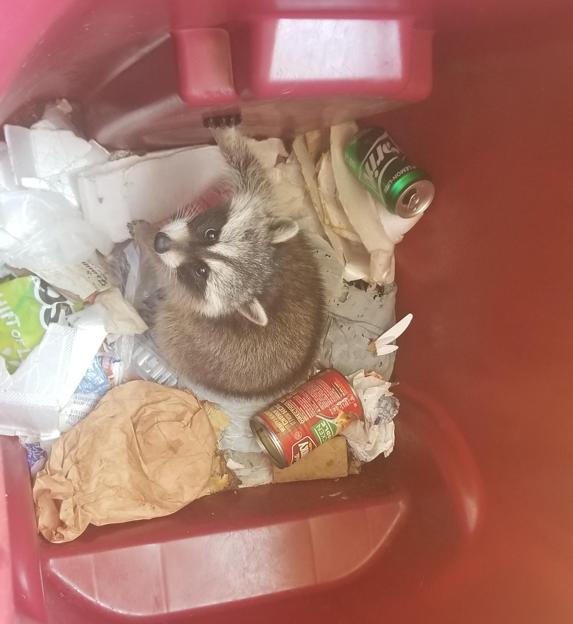 111 best Mtv Cribs images on Pholder MTV Cribs, Gorillaz and Harrypotter