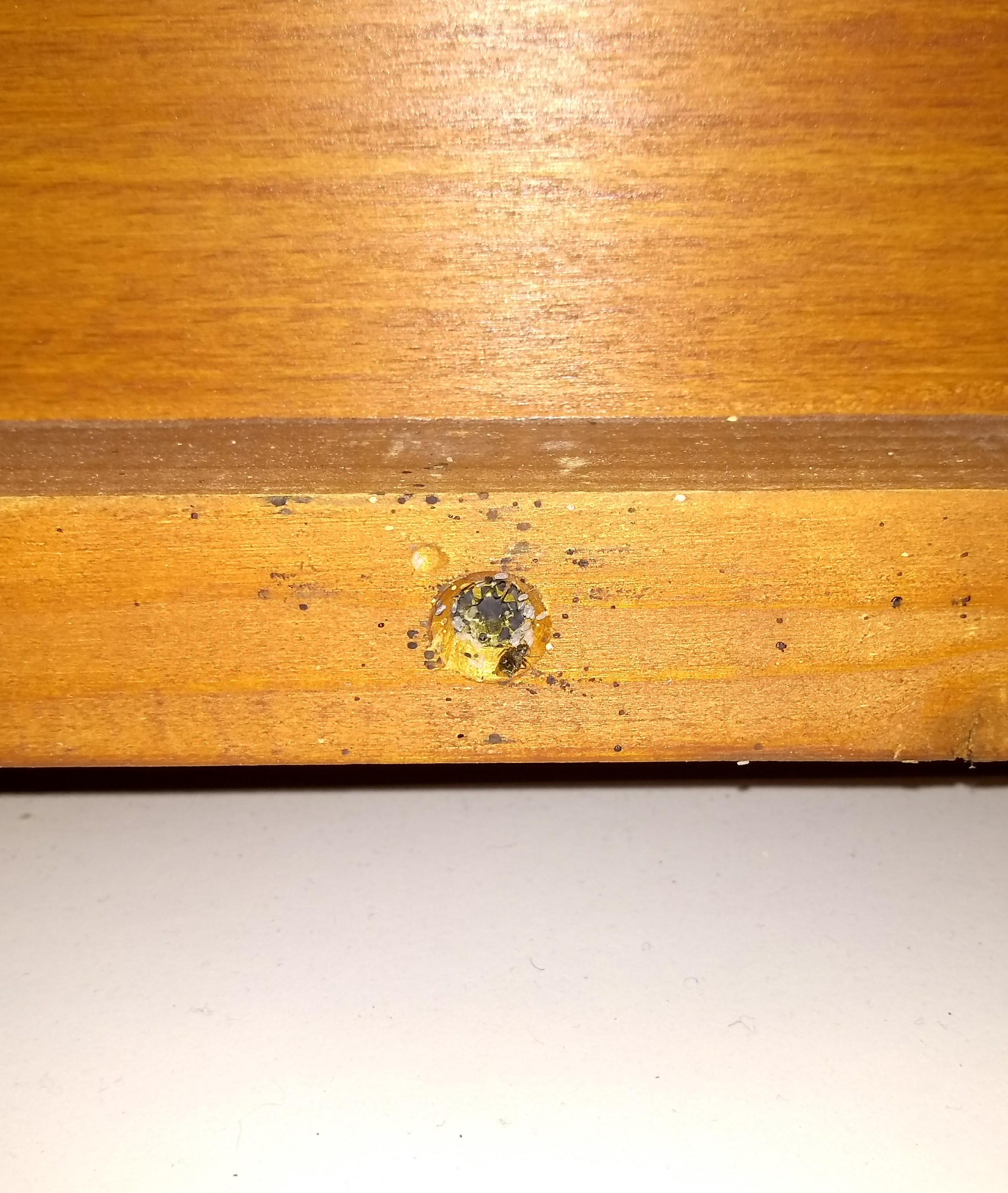 Undecided on whether I should burn the whole place down or just kill