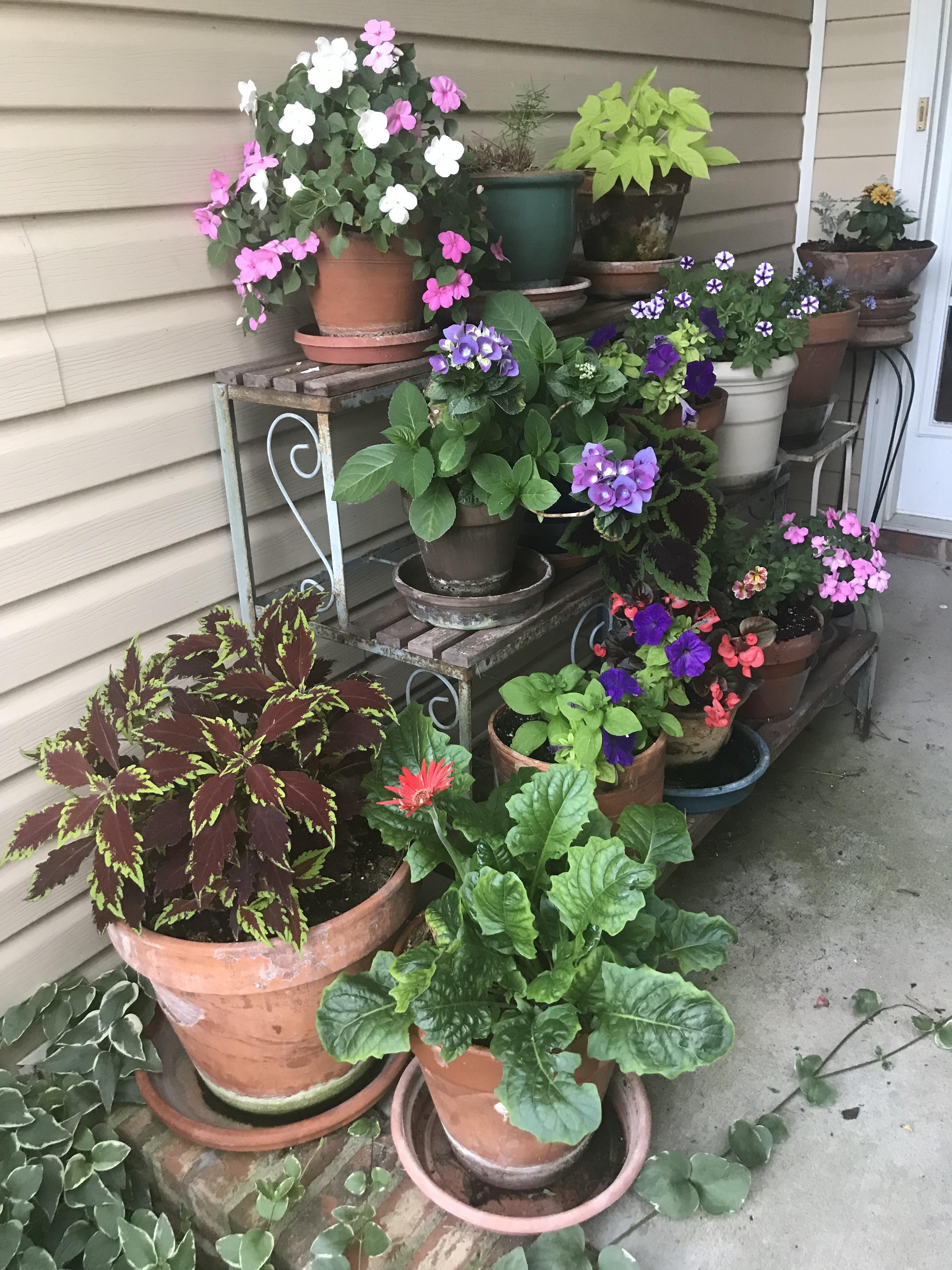 Front porch flower garden. r/gardening