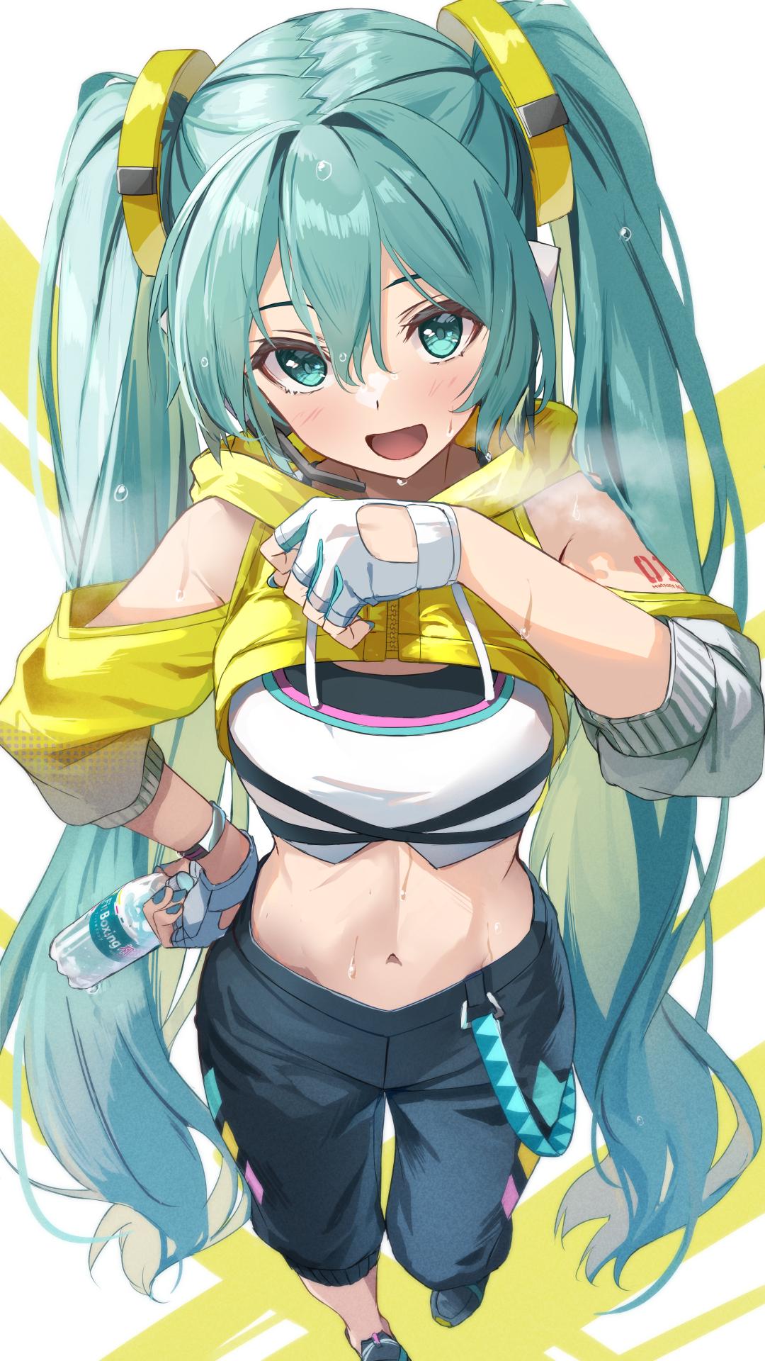 Fitness Boxing Miku : r/hatsune