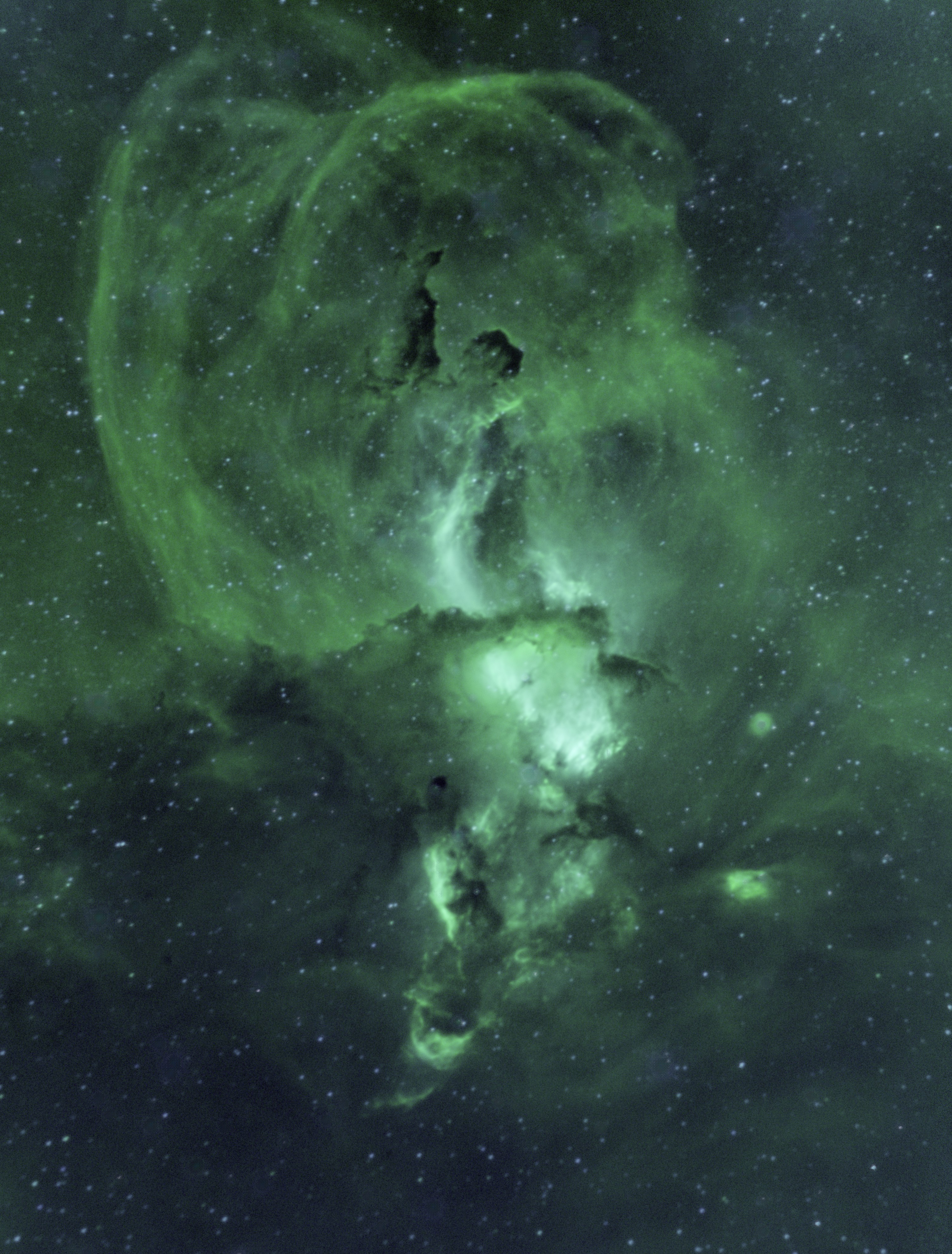 Statue of Liberty Nebula in Ha and O3 r/astrophotography