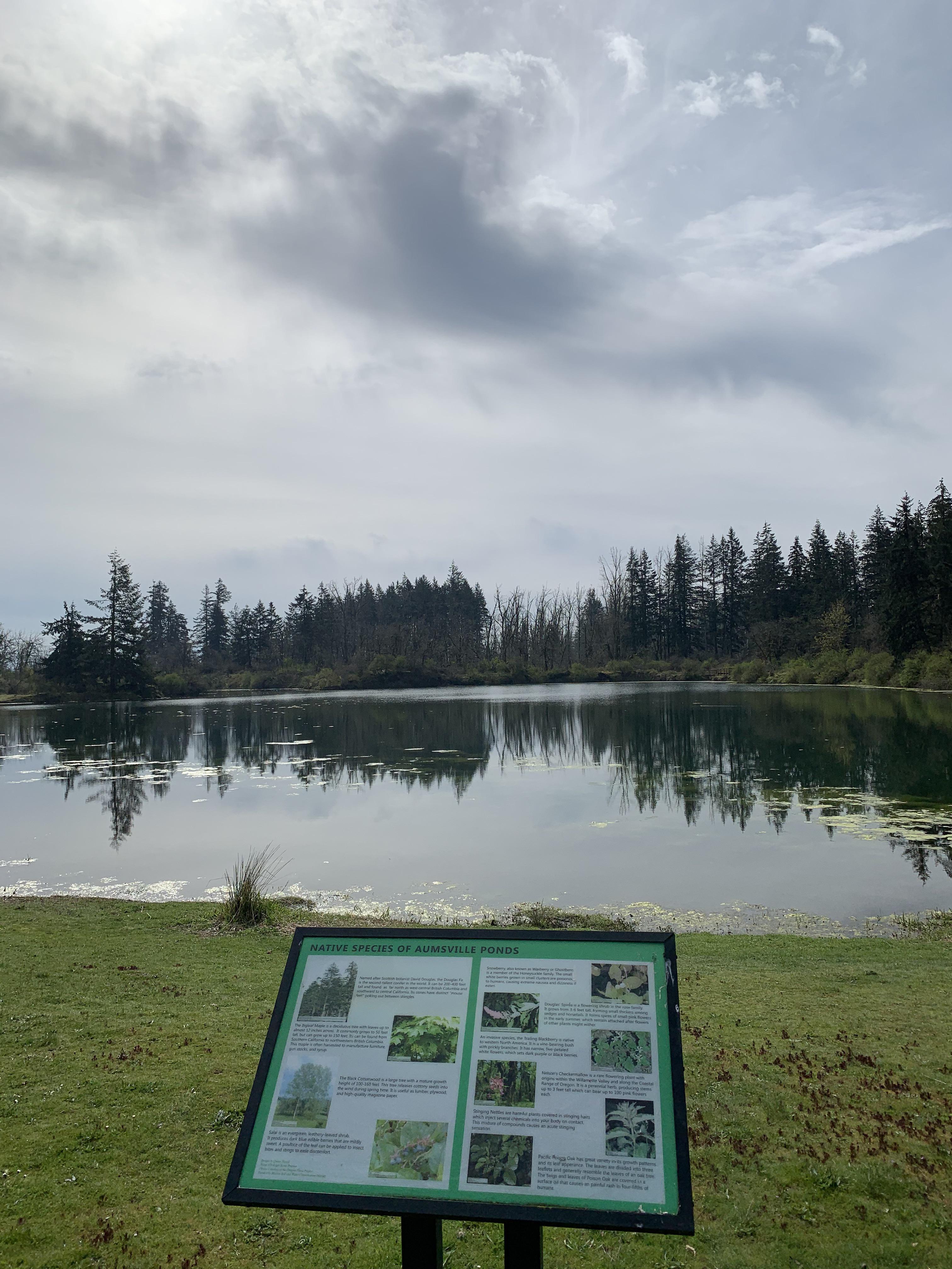 Aumsville ponds. Not sure how the fishing is but saw people fishing