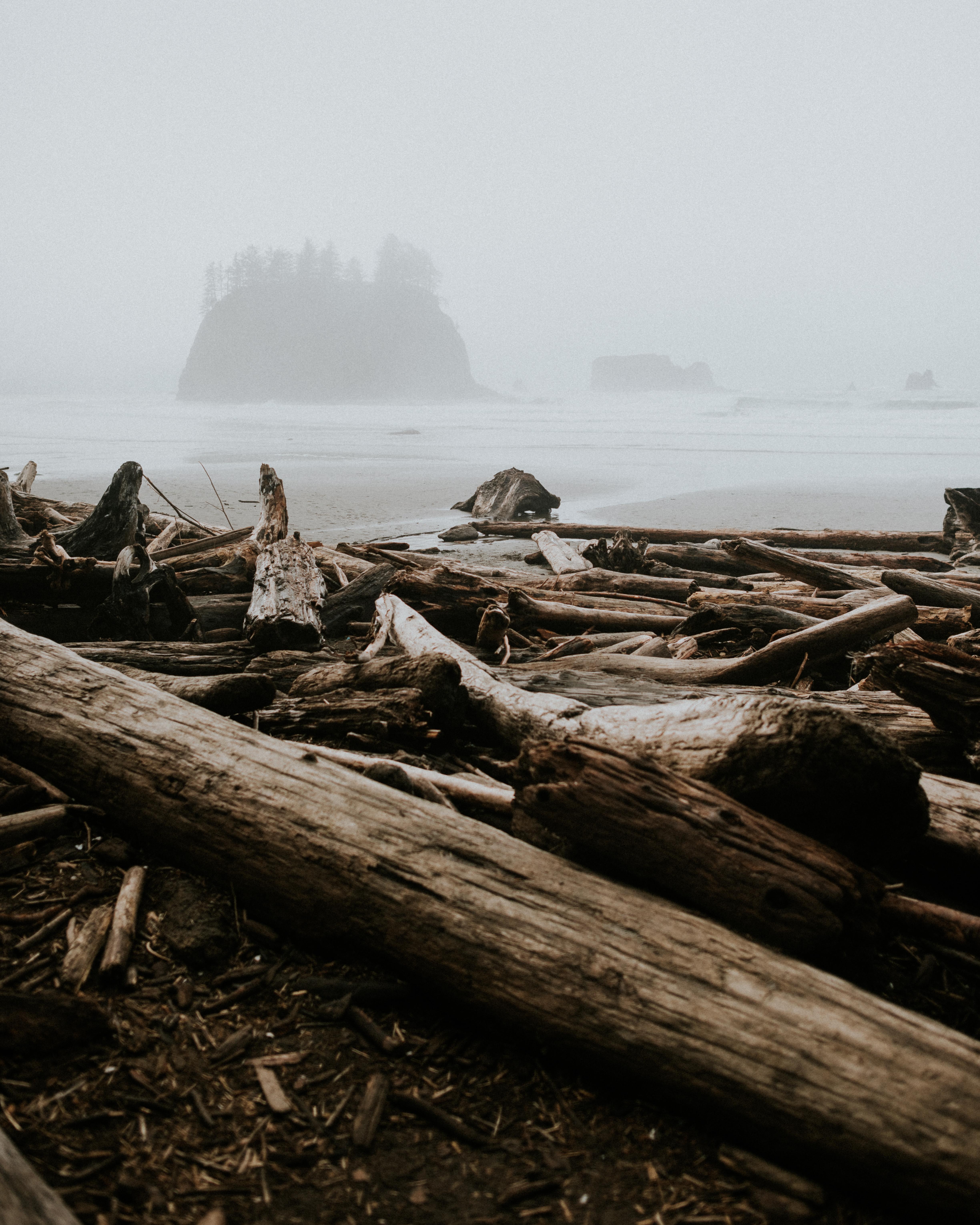 An ethereal morning on La Push, WA [OC] [4897 × 6121] r/EarthPorn