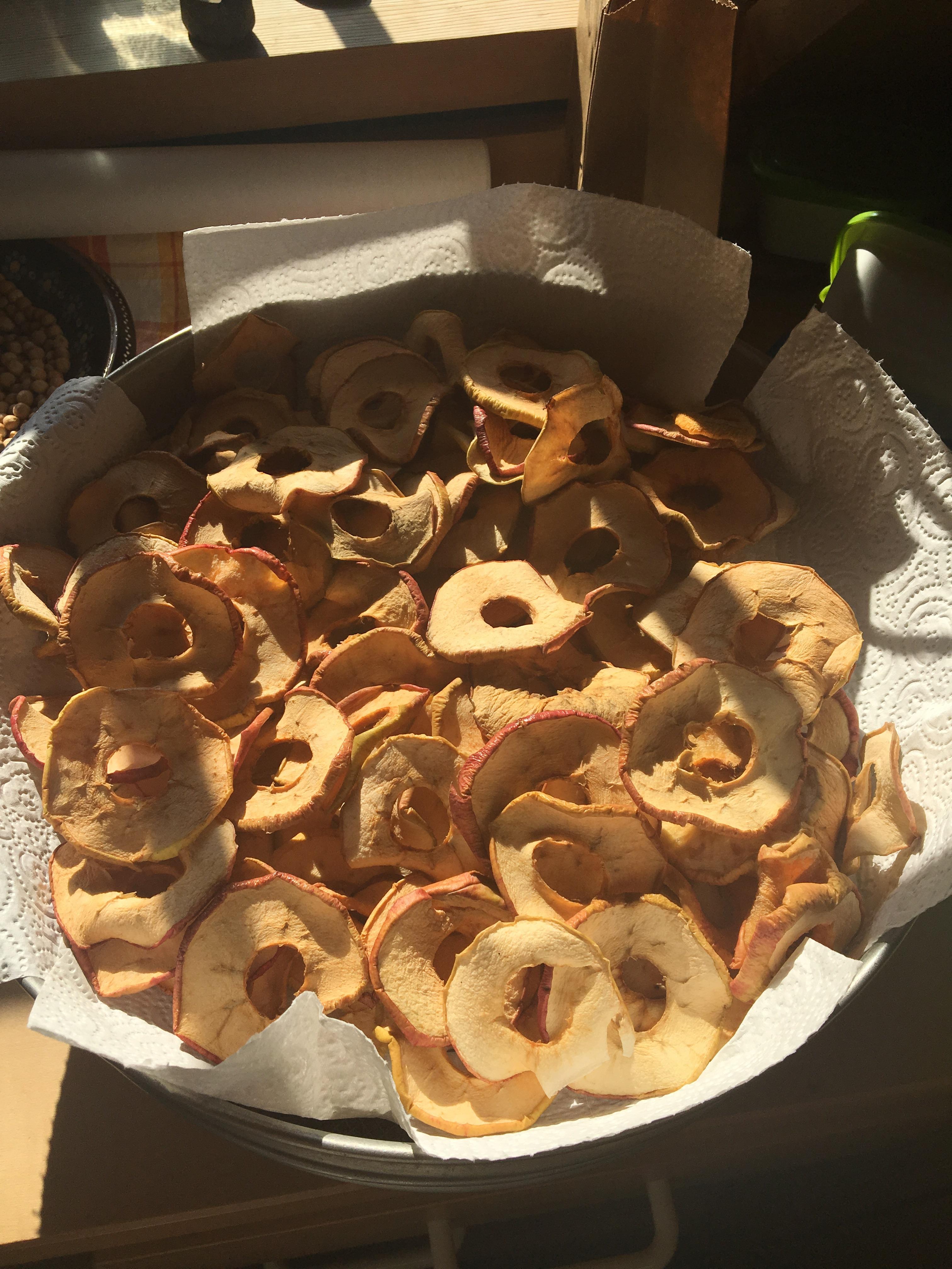 [homemade] dried apple rings r/food