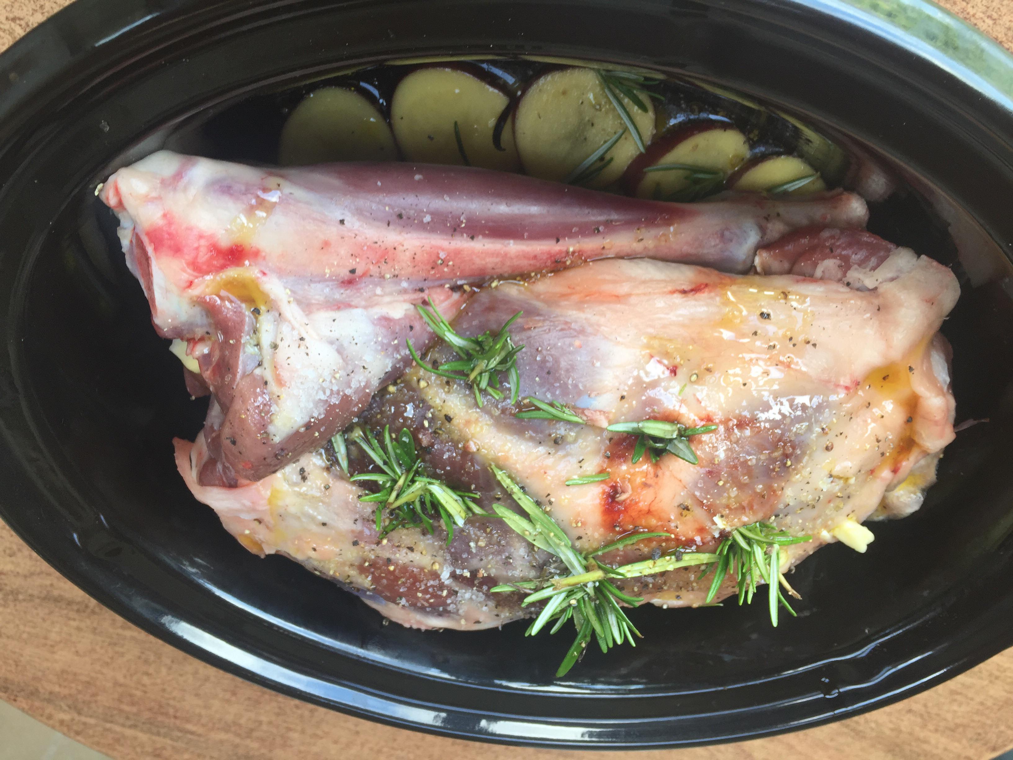 See you in 10 hours. Portuguese lamb. r/slowcooking