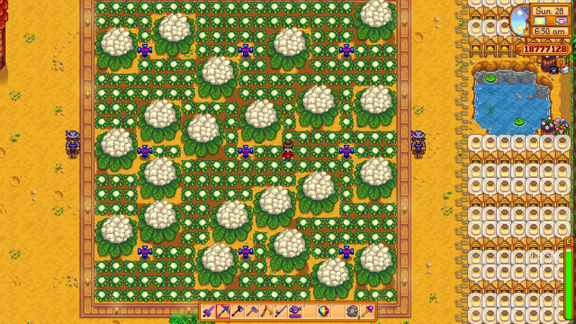 This is what 22 cauliflower mega crops looks like r/StardewValley